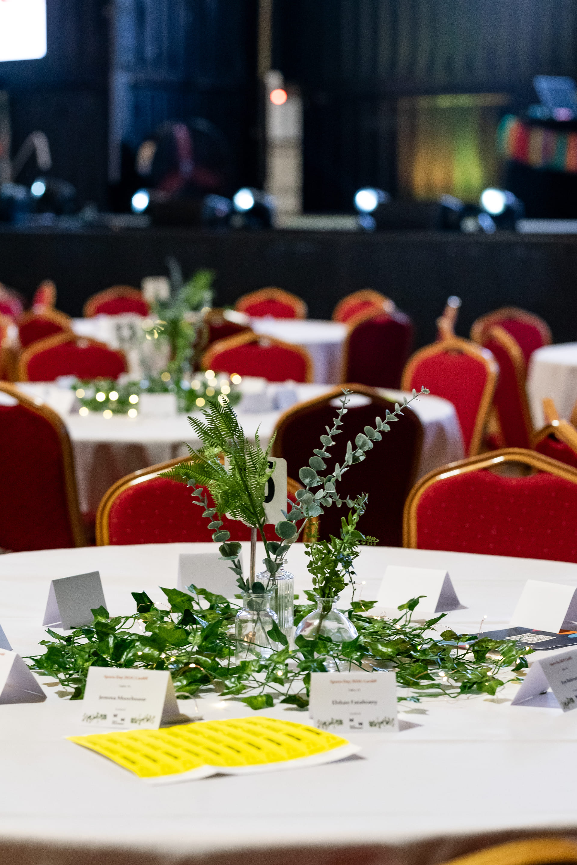 Treeside & Main Space 11