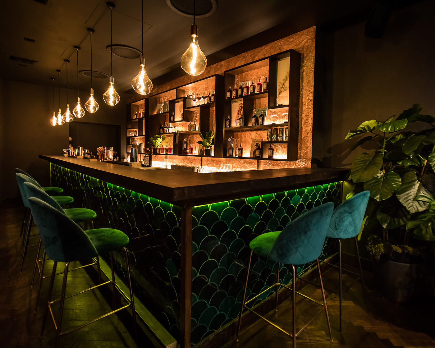 The Wild Monkey Bar 2