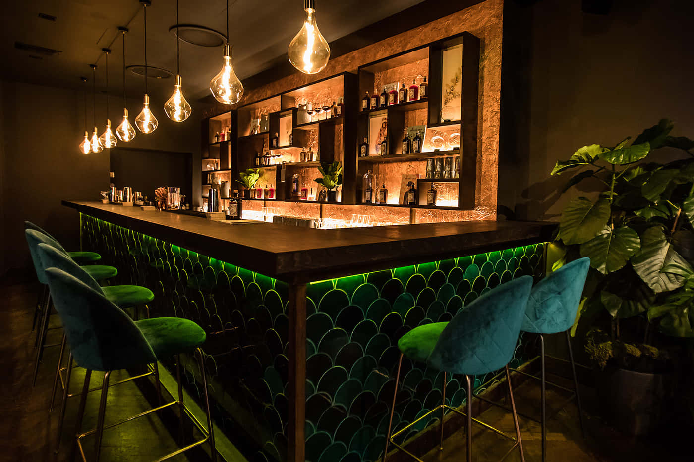 The Wild Monkey Bar 2