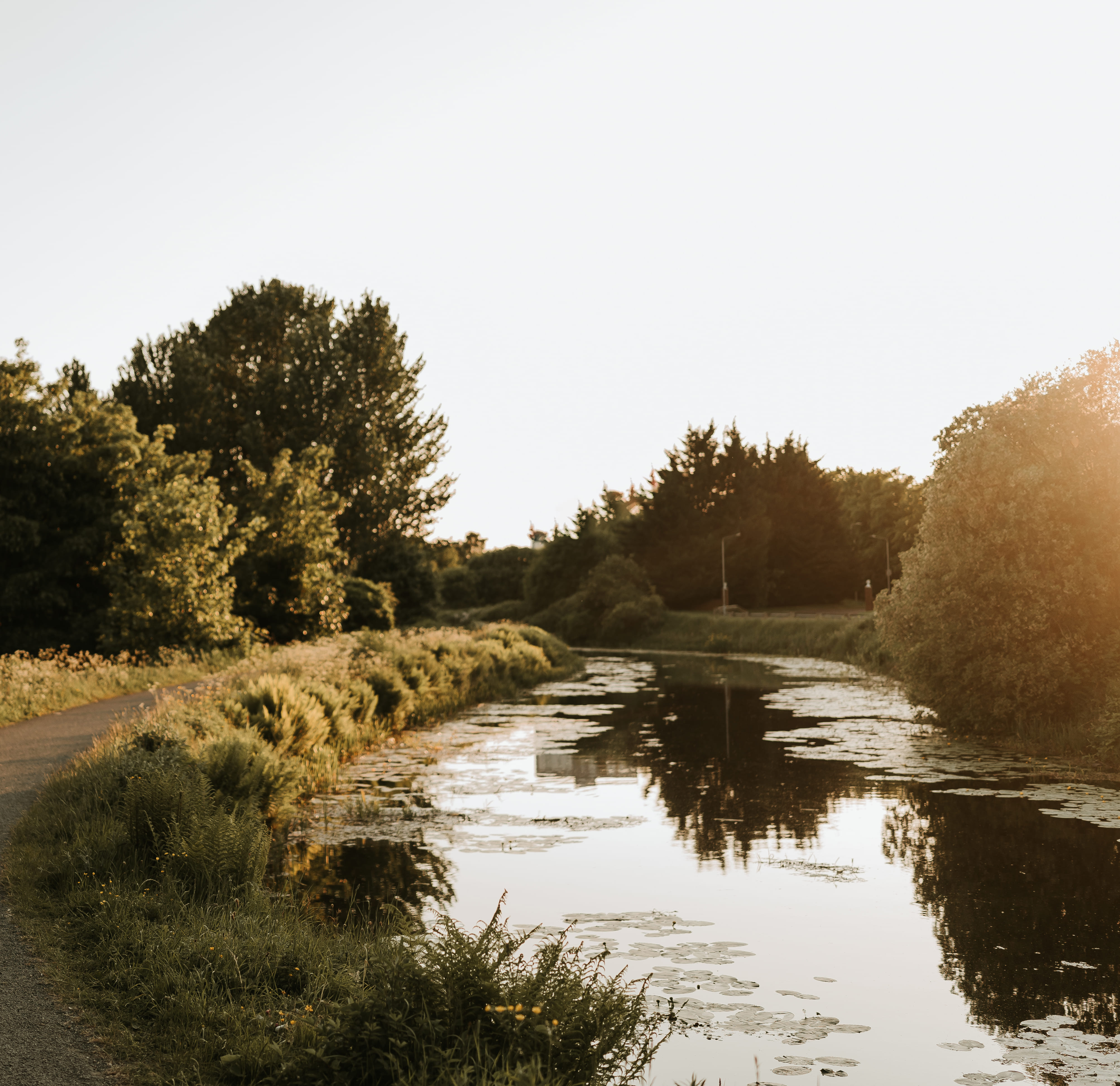 The Engine Works  24