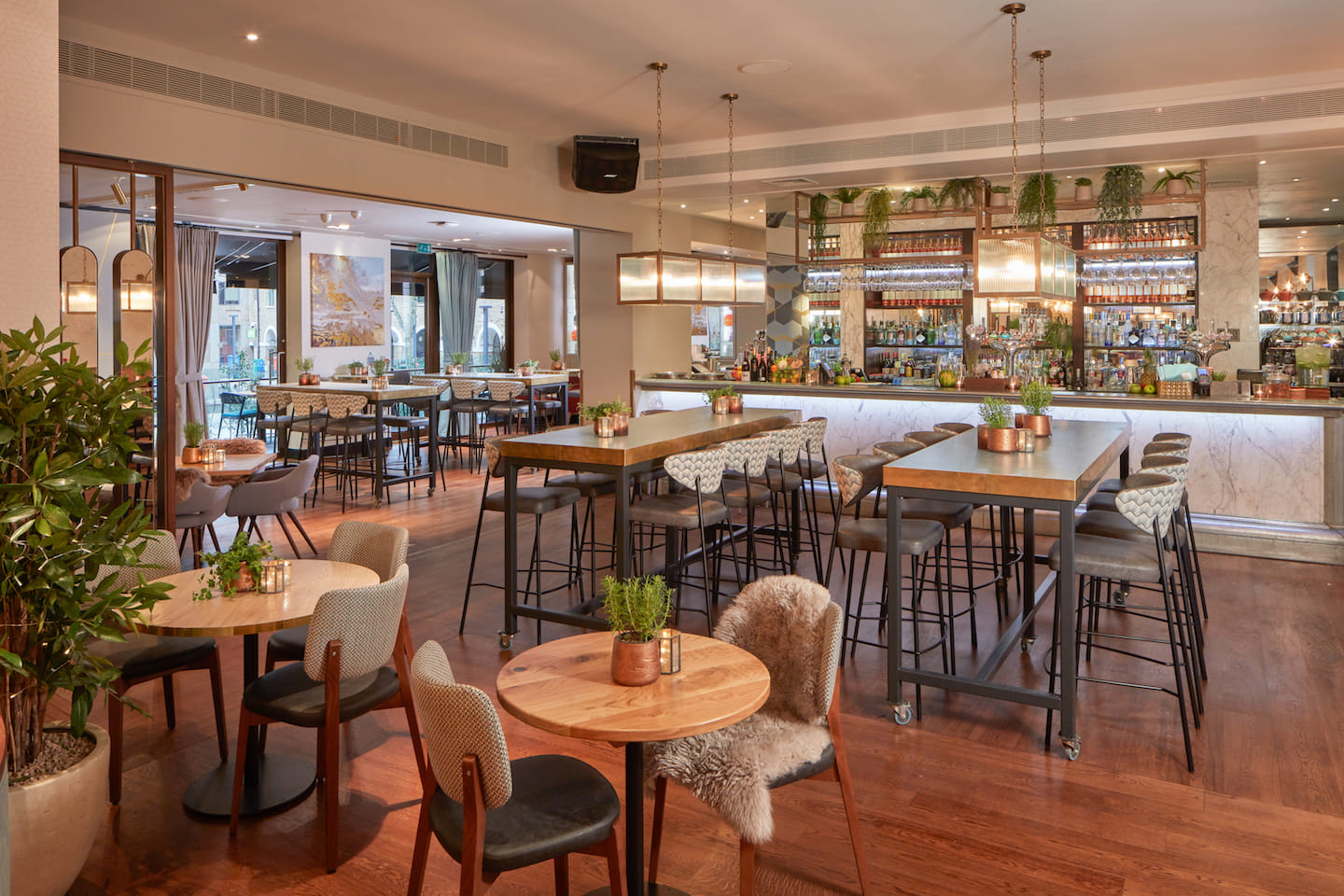 Devonshire Terrace 2