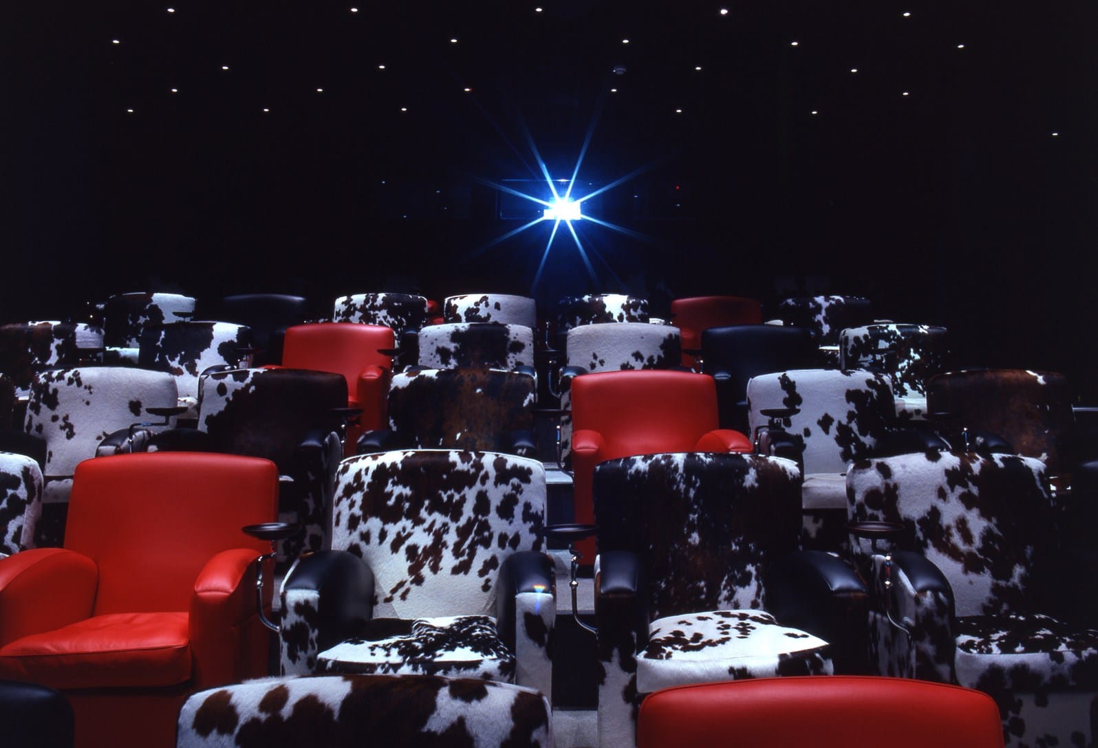 Screening rooms  3