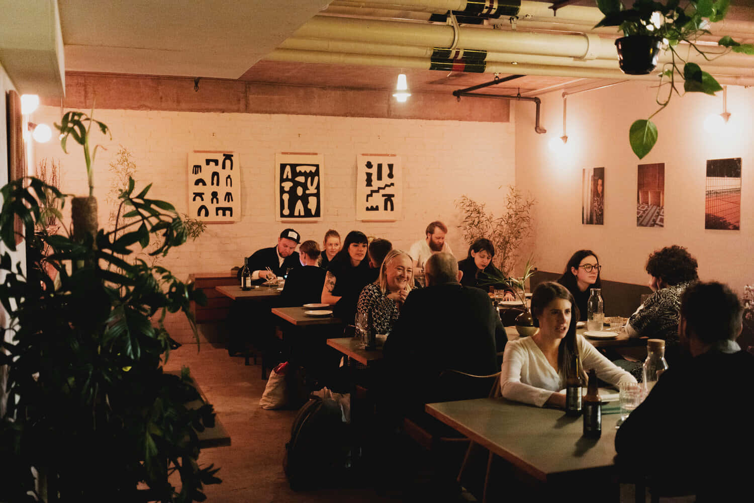 Lower Ground Floor 2