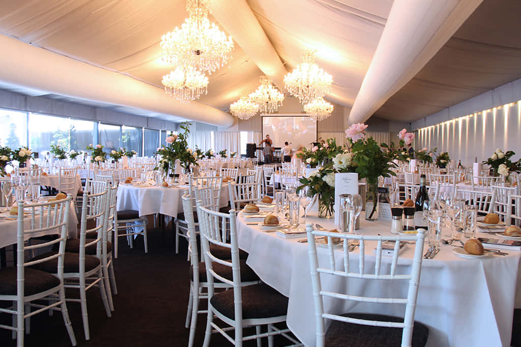Marquee 12