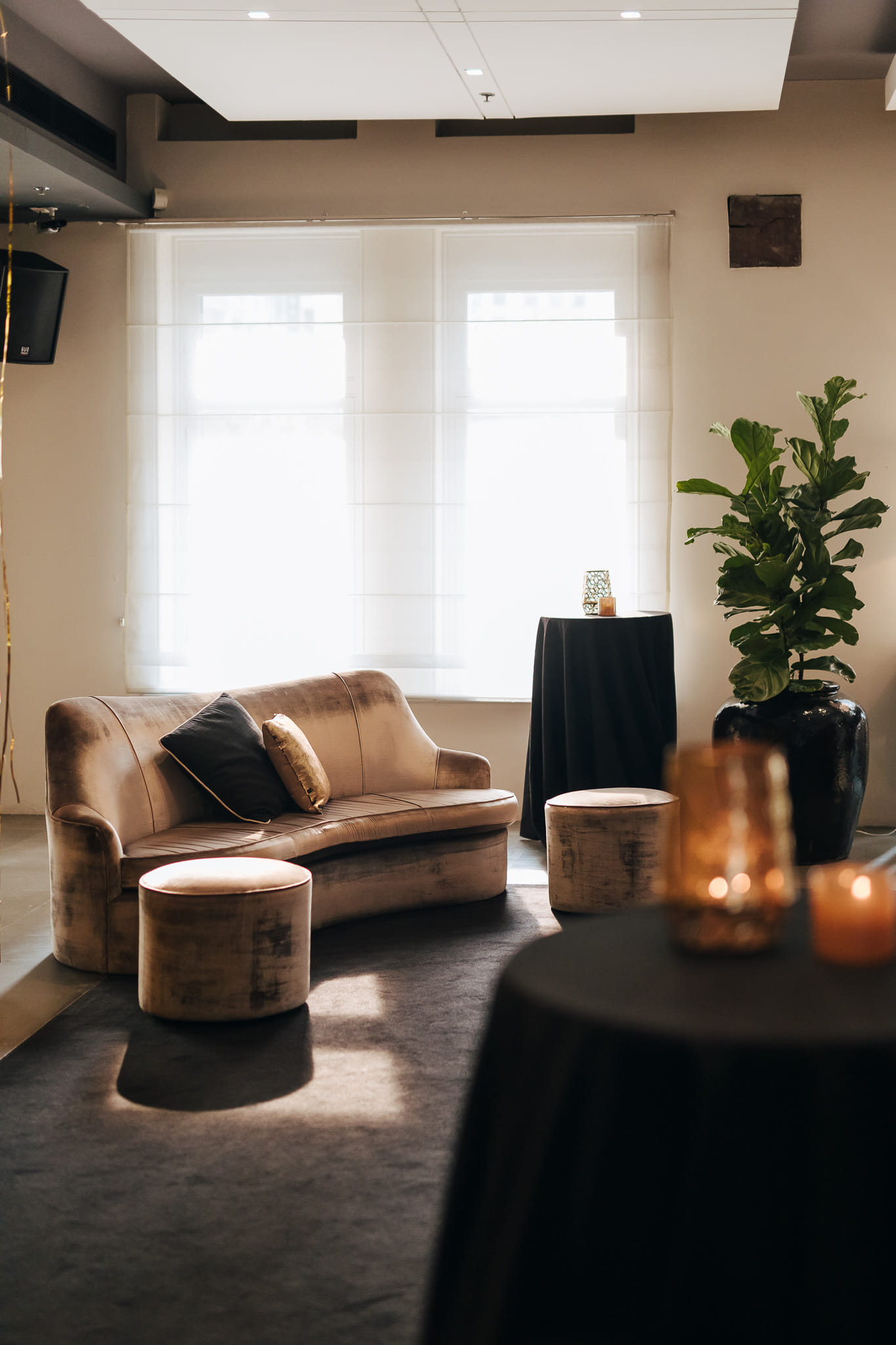 Establishment Ballroom 8