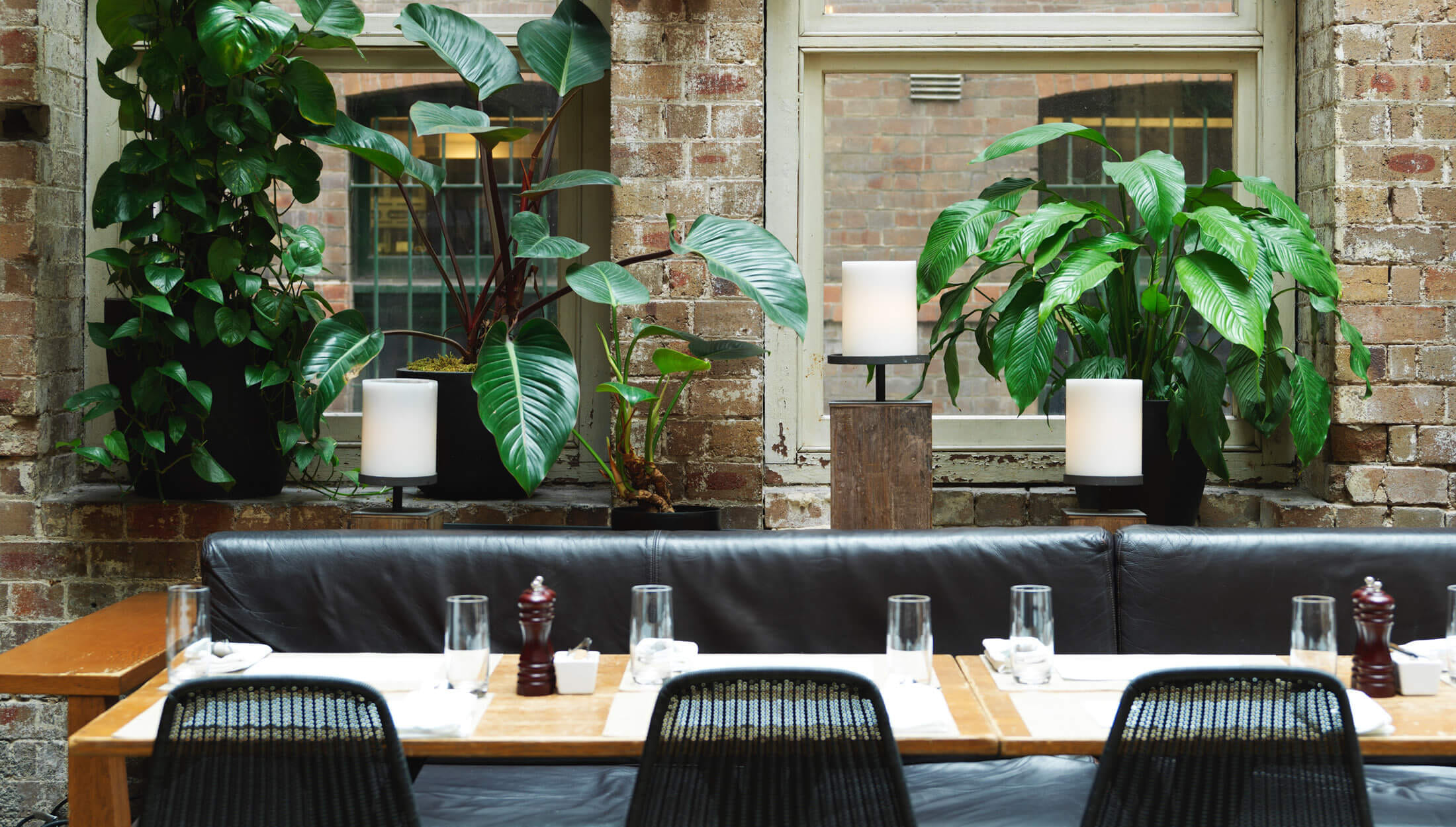 Establishment Garden 1