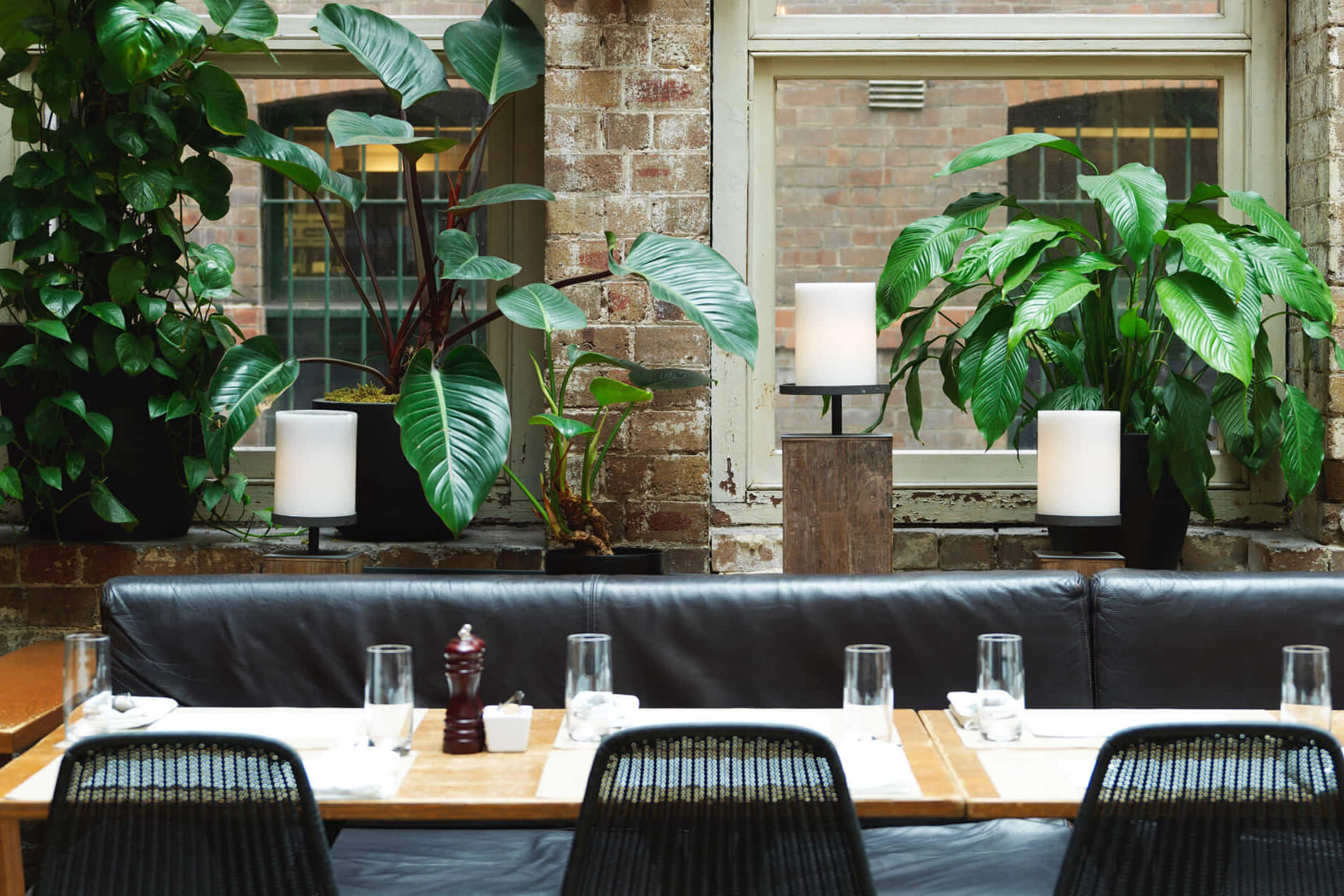 Establishment Garden 1