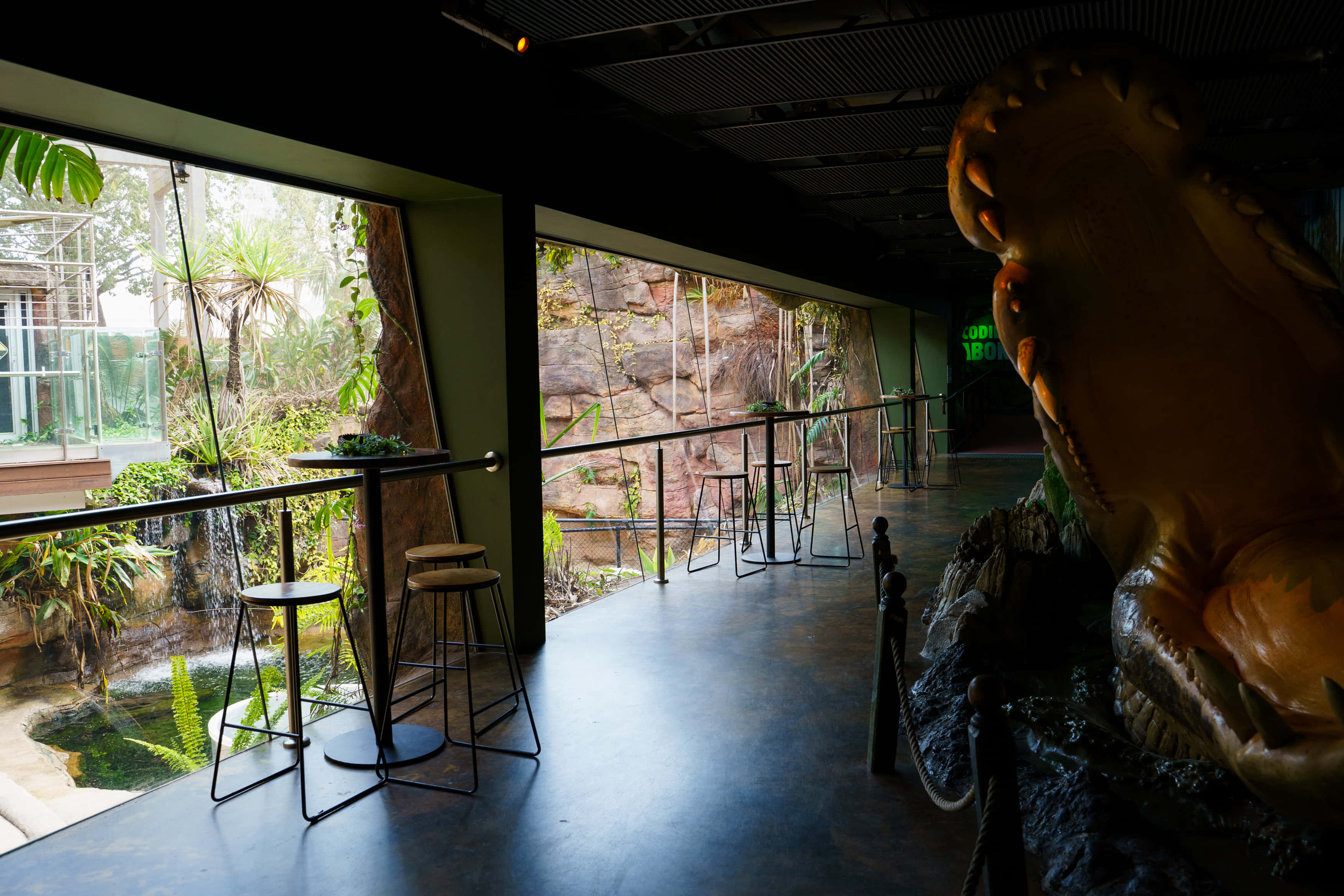 WILD LIFE Croc Deck 1