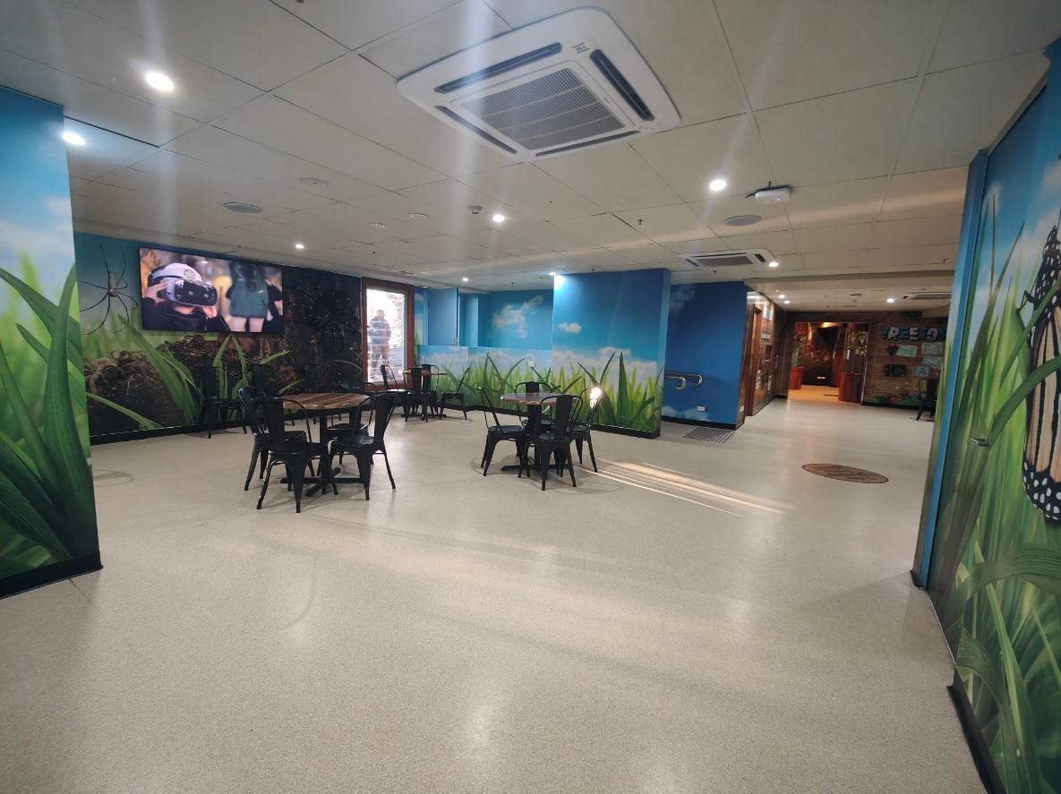 Inside Koala Rooftop  2