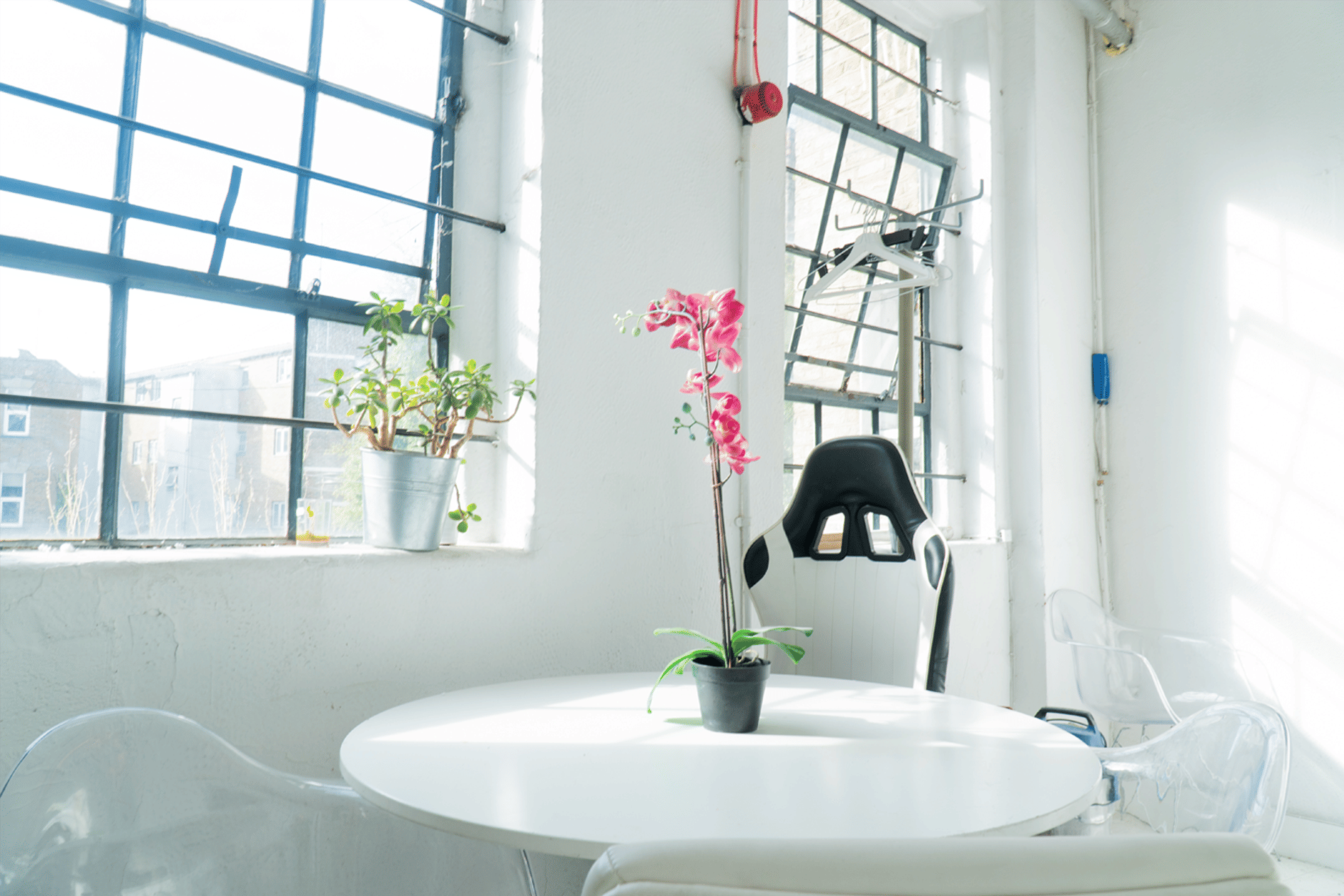 Madein.Eden Studio 7