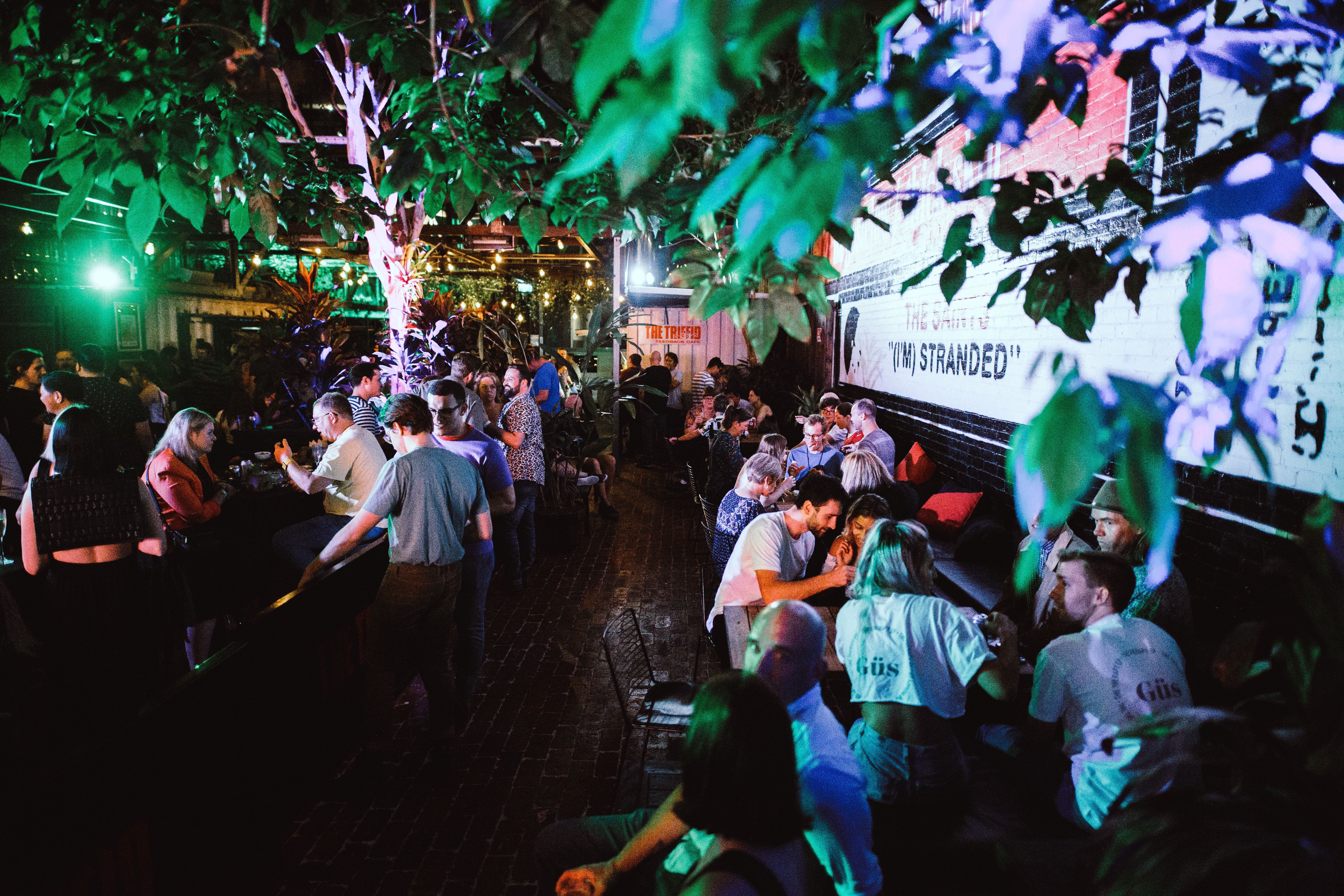 The Triffid Garden 3