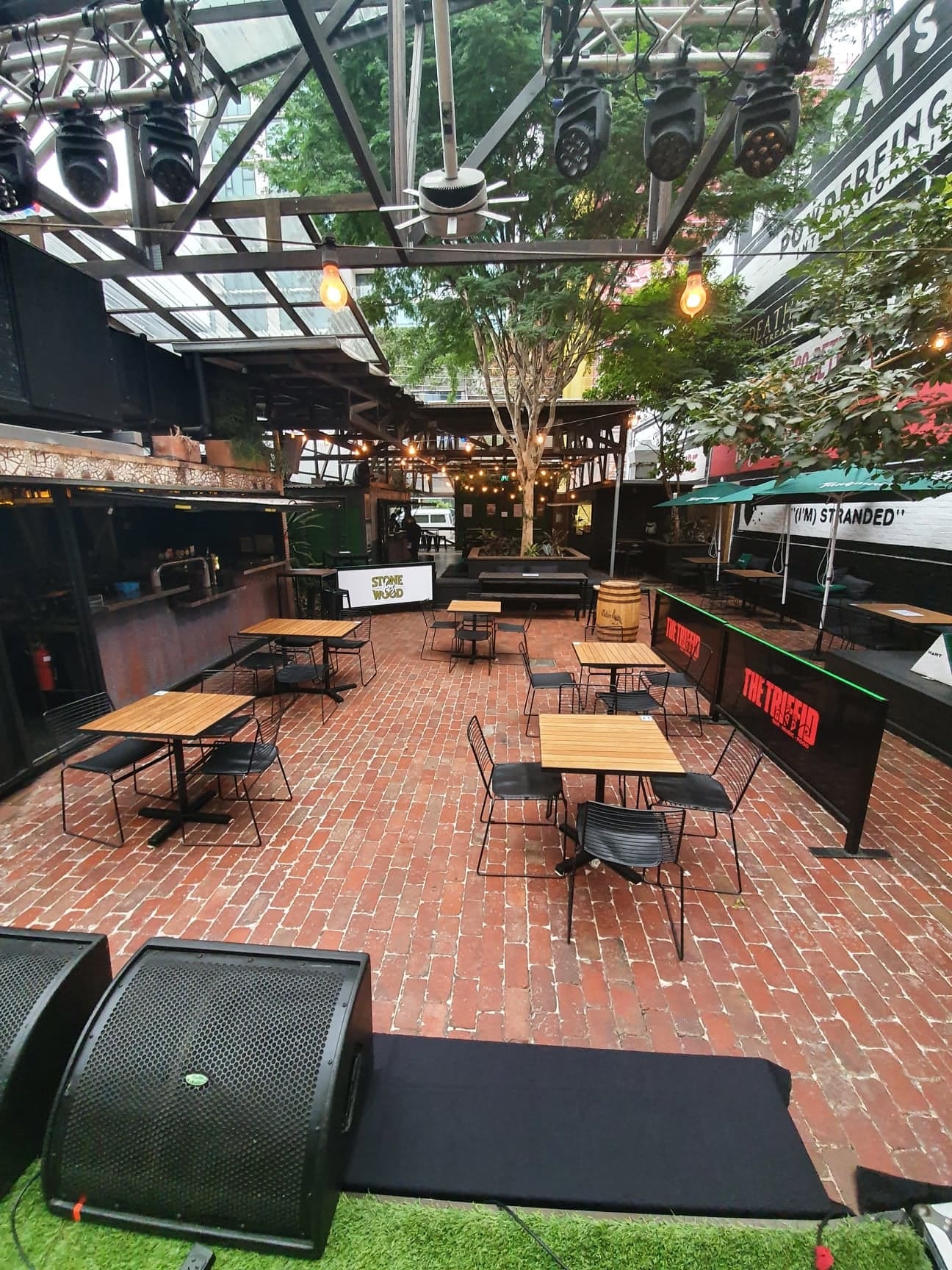 The Triffid Garden 4