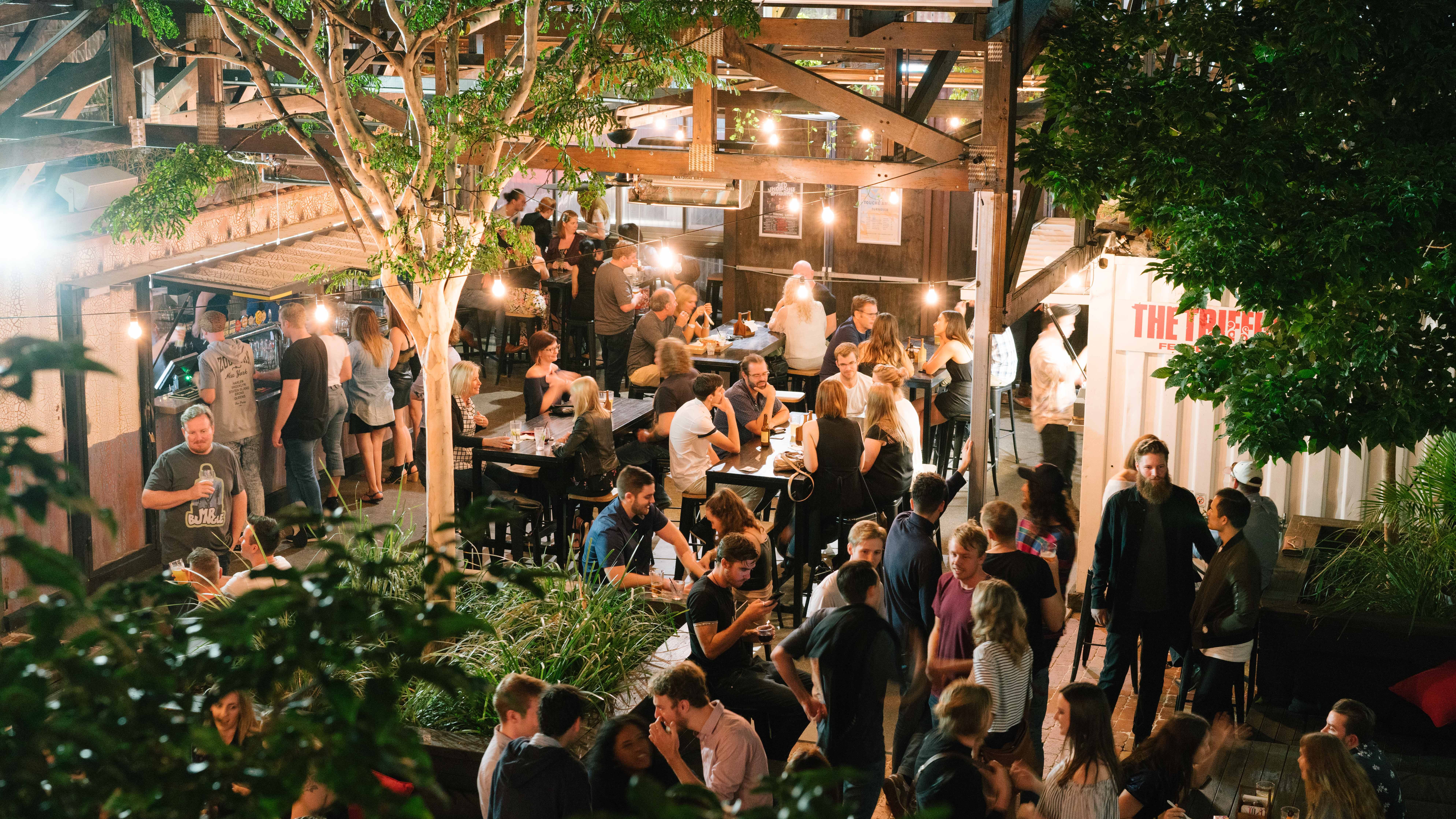 The Triffid Garden 1