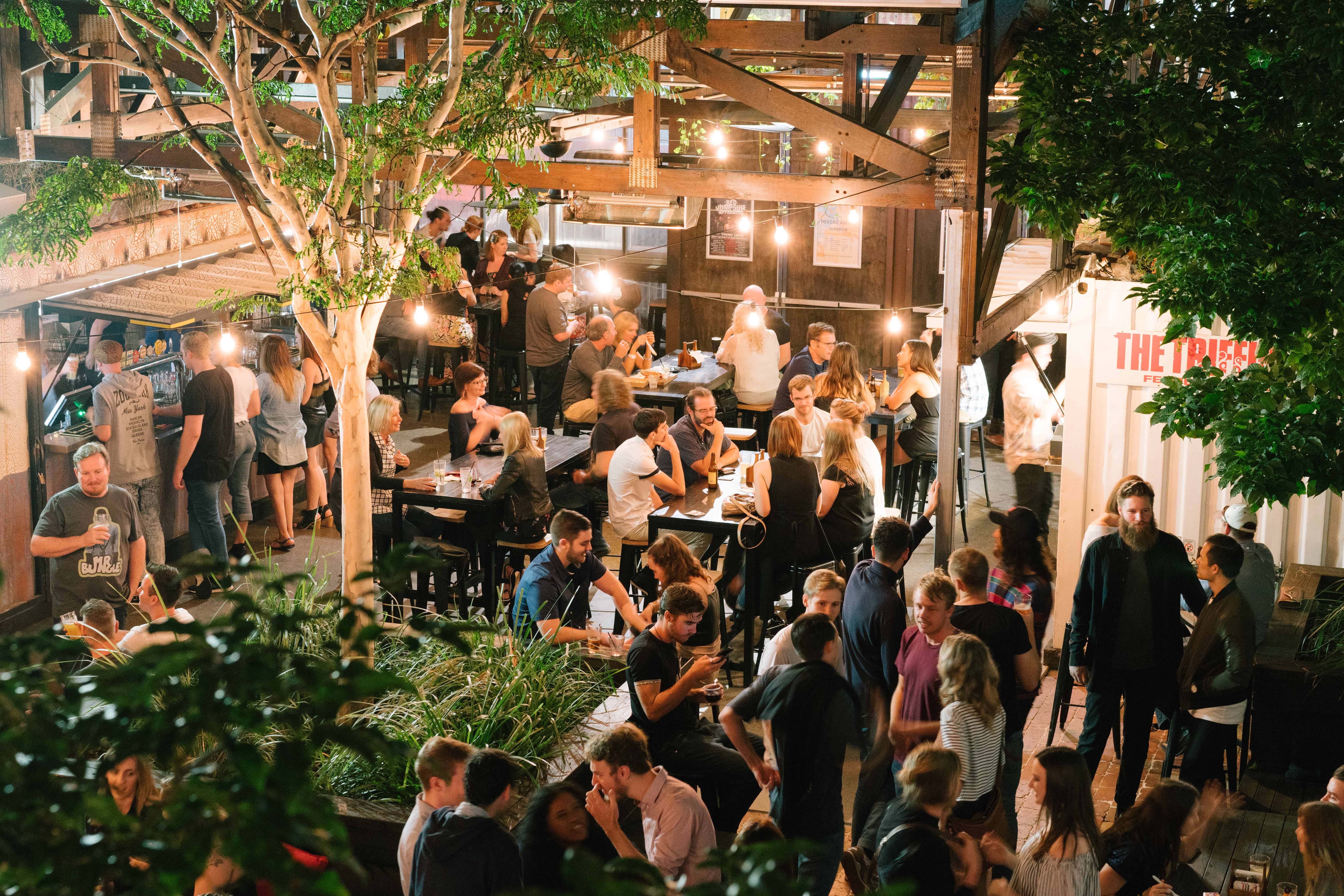 The Triffid Garden 1