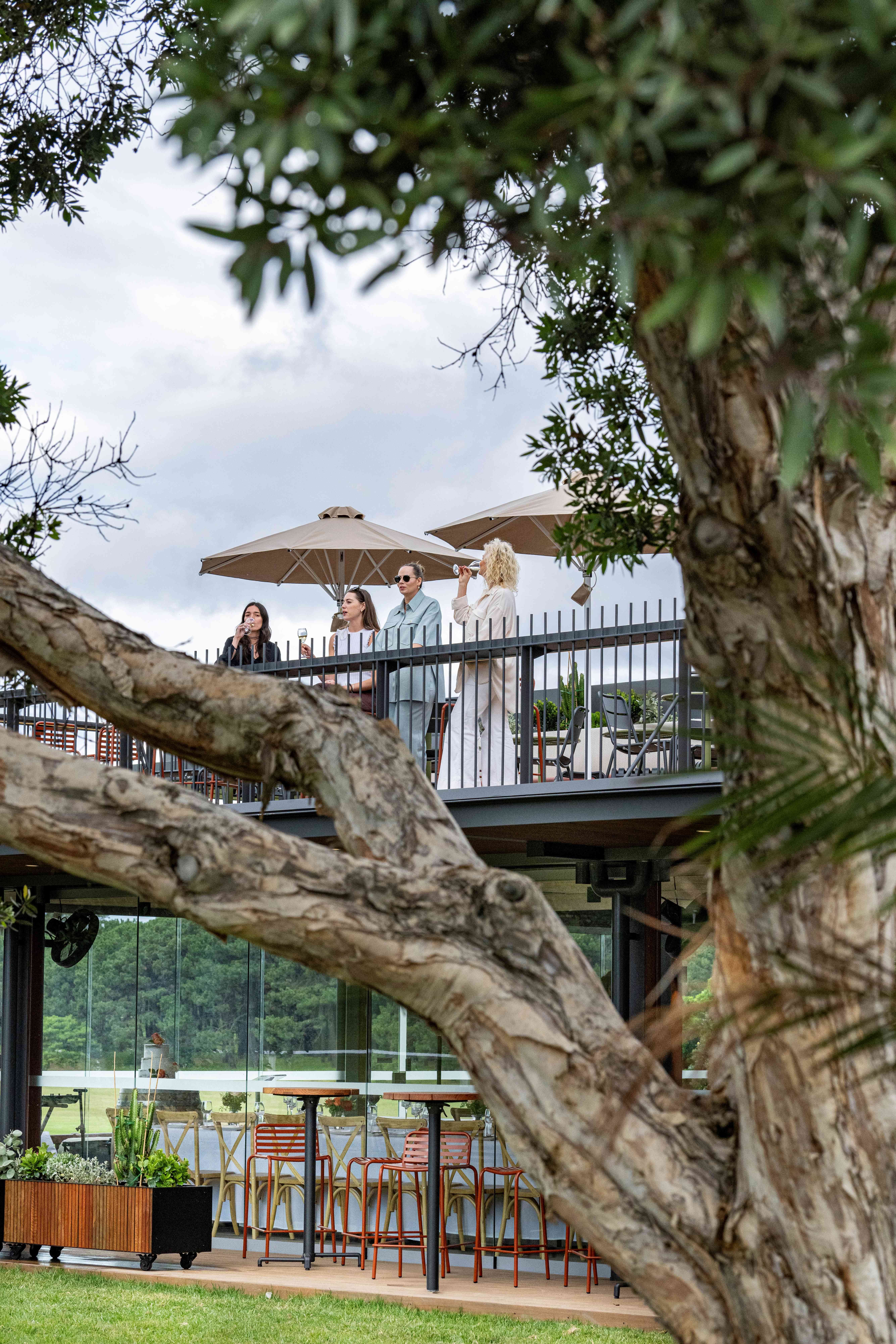 The Paddock with lawn and Treehouse rooftop bar 2