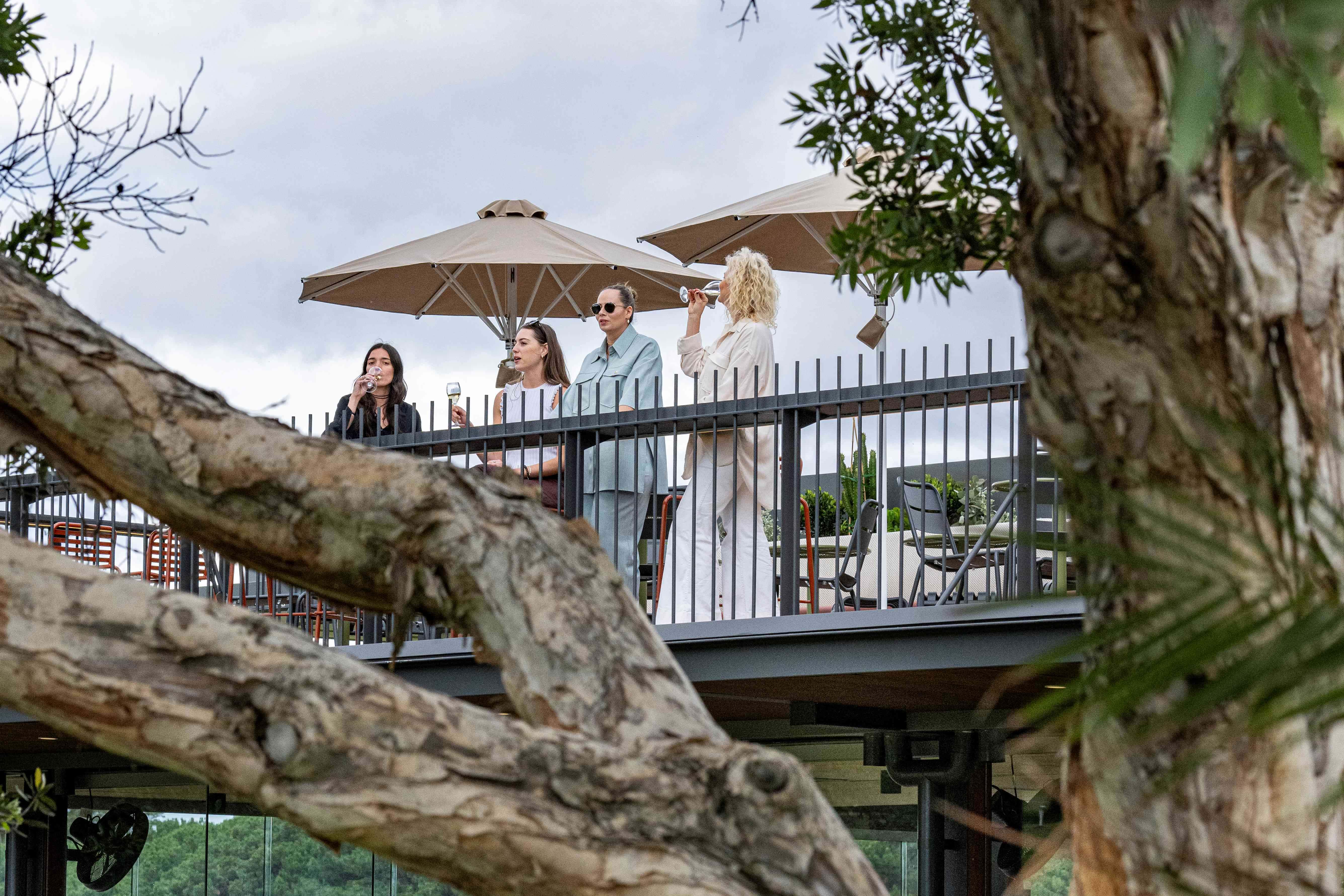 The Paddock with lawn and Treehouse rooftop bar 2