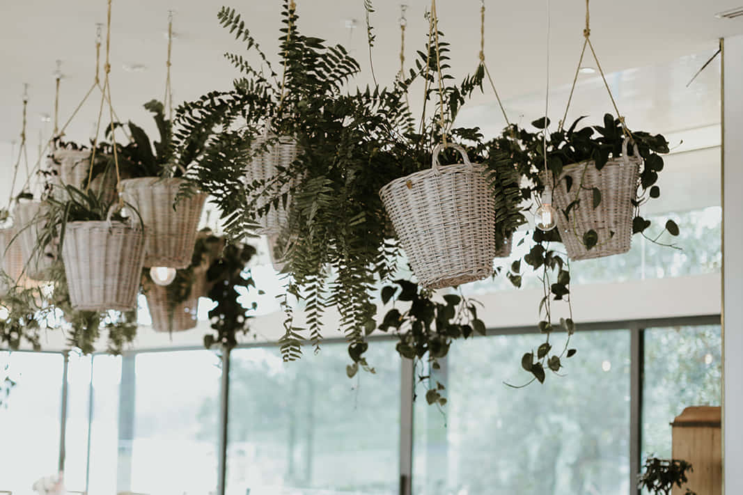 The Oakroom (formally Cafe Restaurant) 5