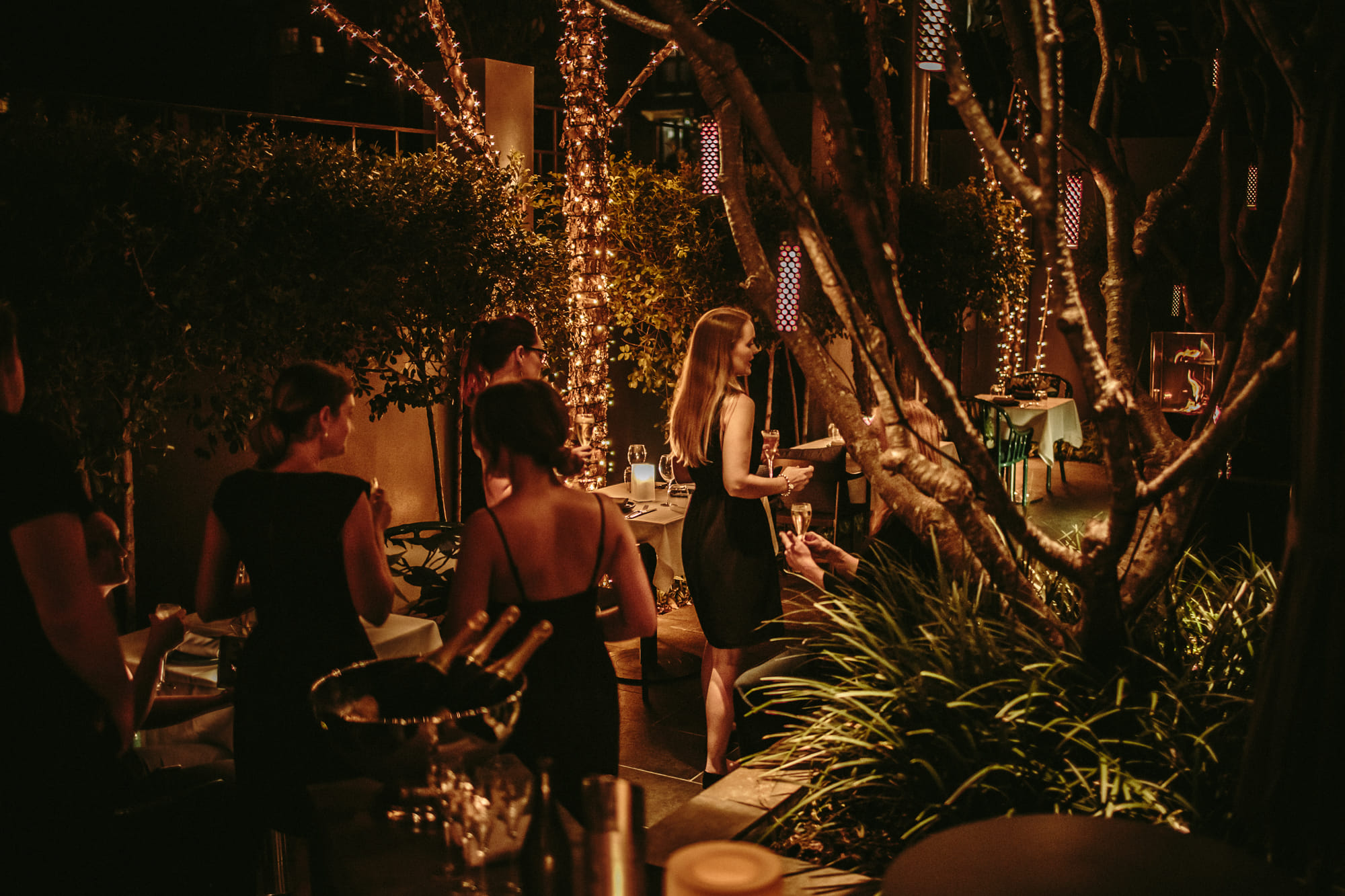 Frangipani Courtyard 2