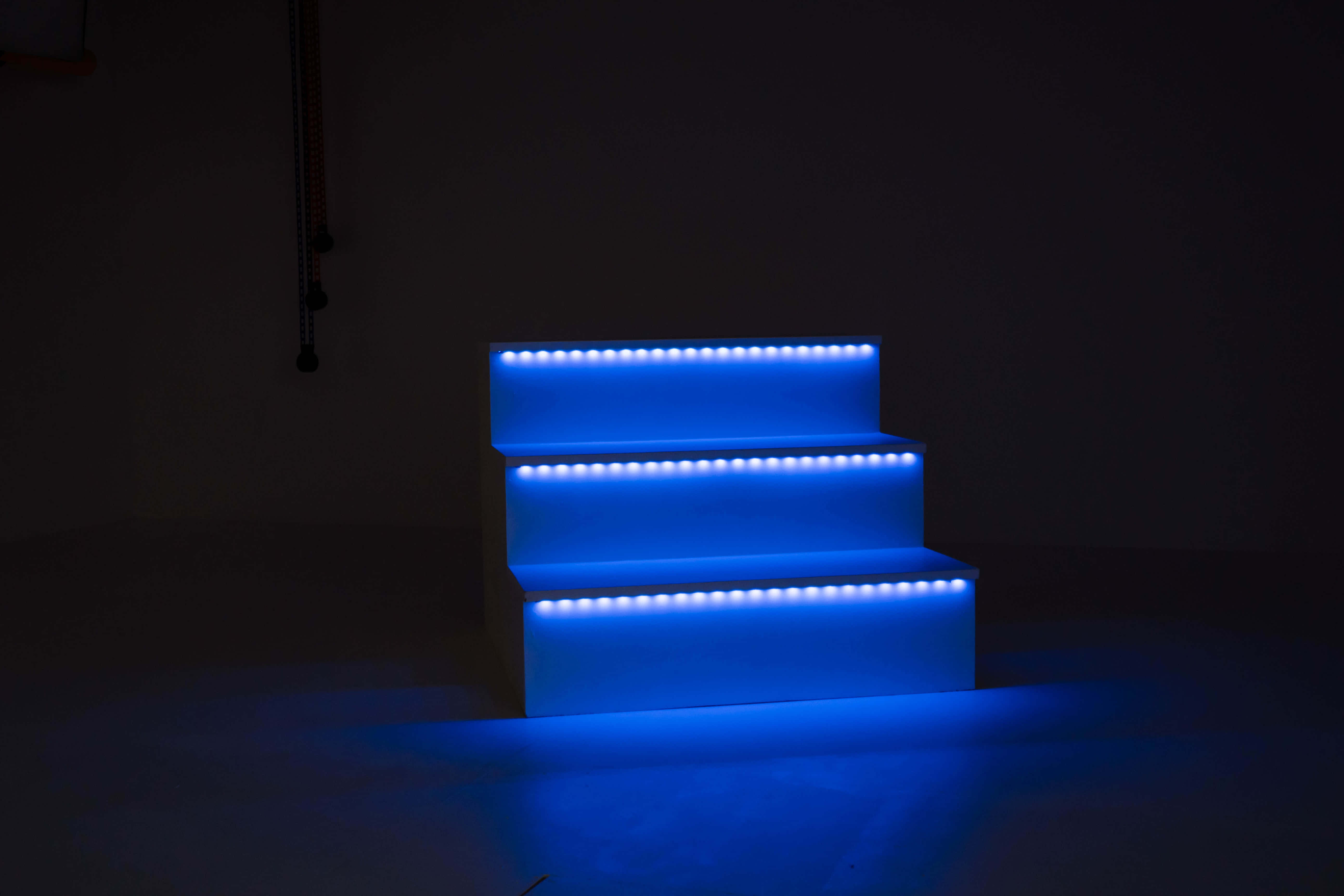 Photography & Flim Studio (Green) 13