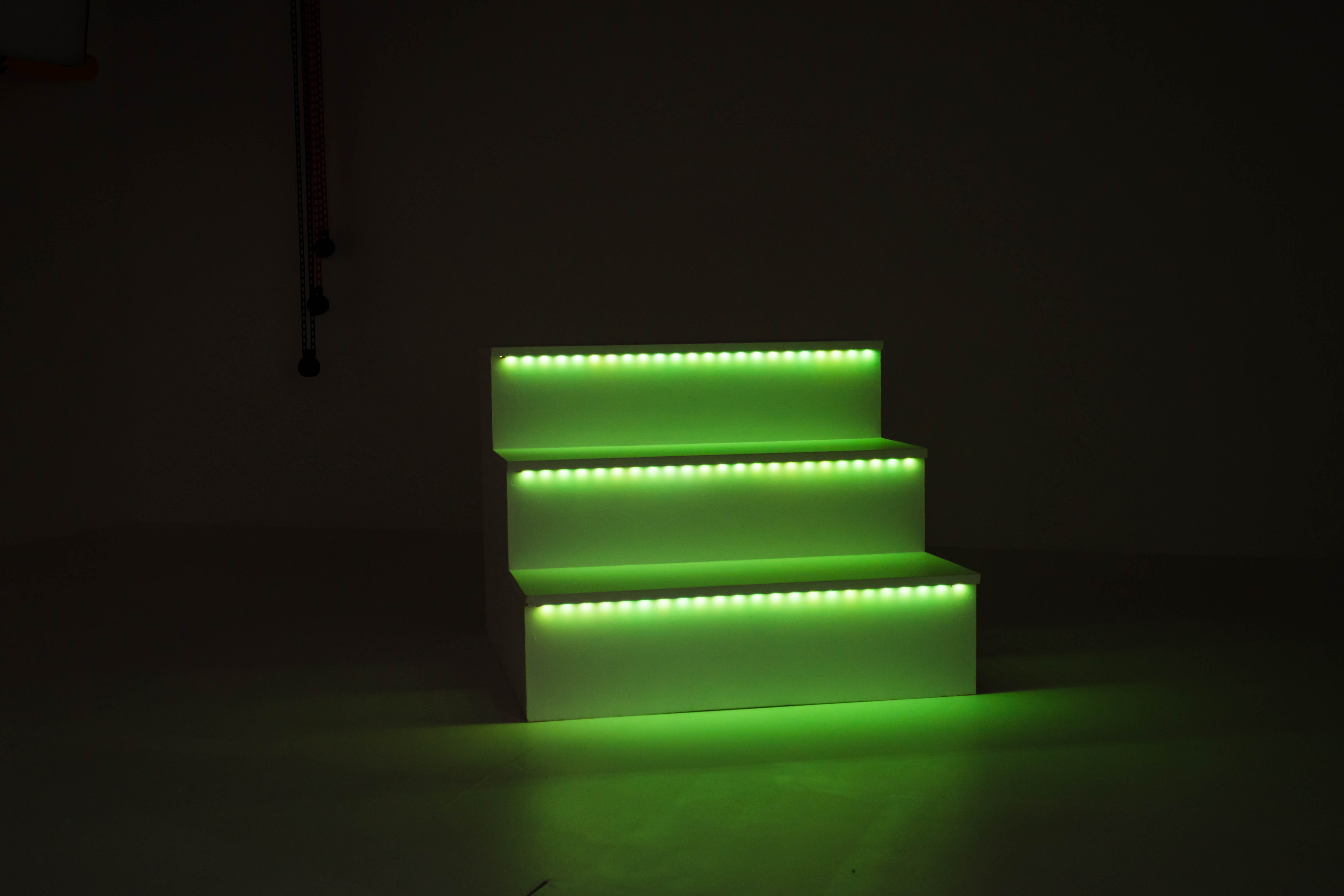 Photography & Flim Studio (Green) 15