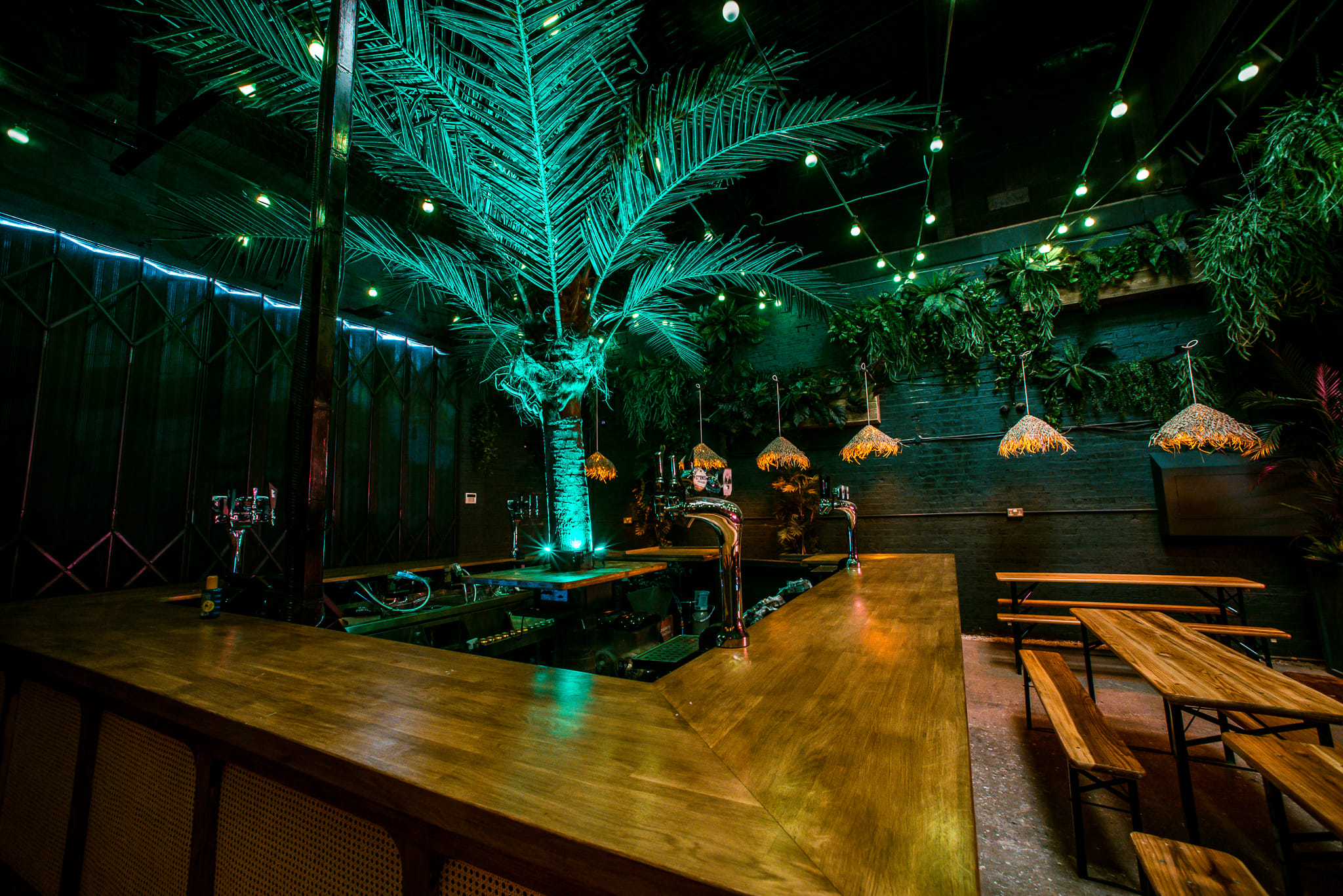 The Palm Bar 4