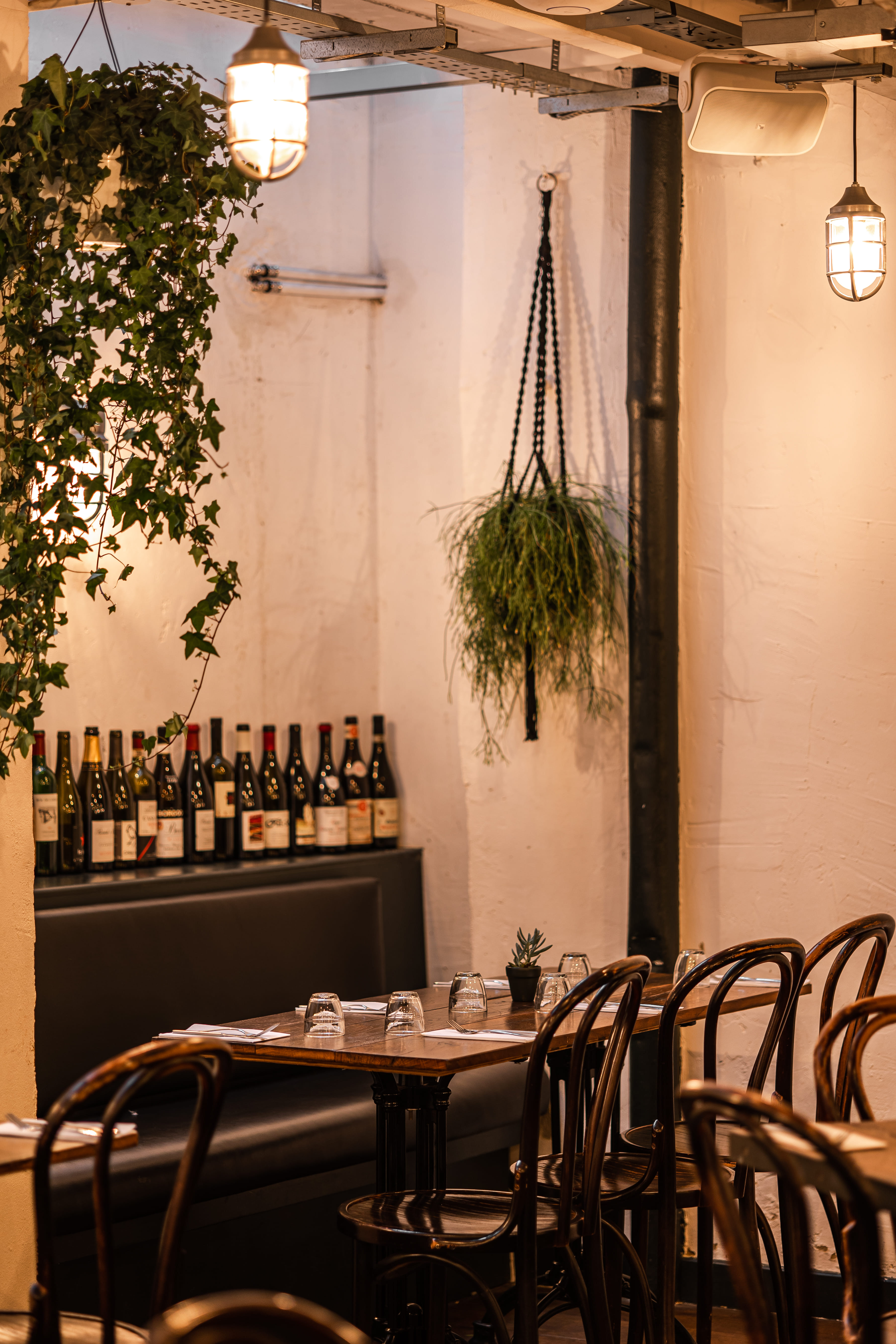 Wine room -The Dining Room on lower ground floor   6