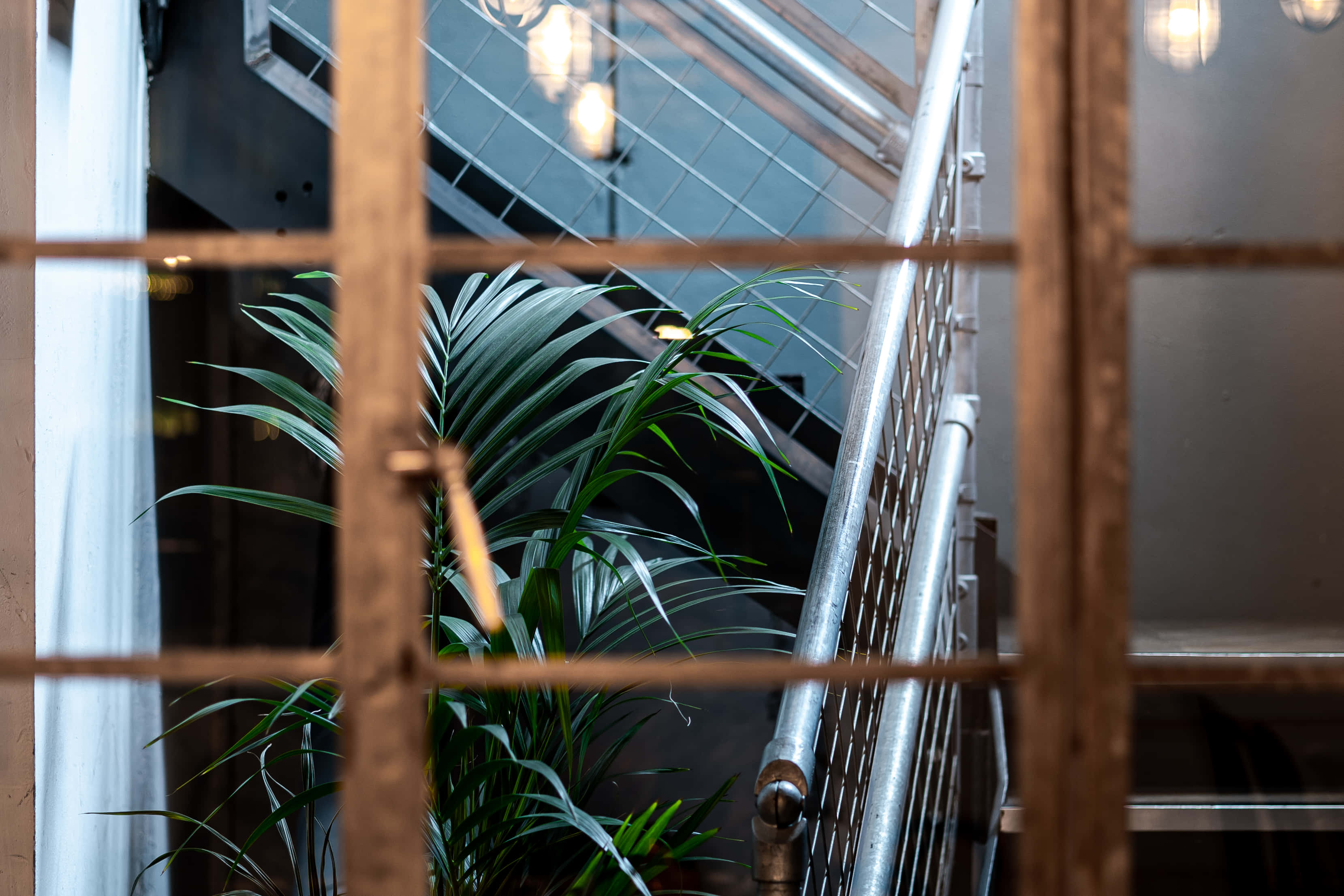 Wine room -The Dining Room on lower ground floor 2