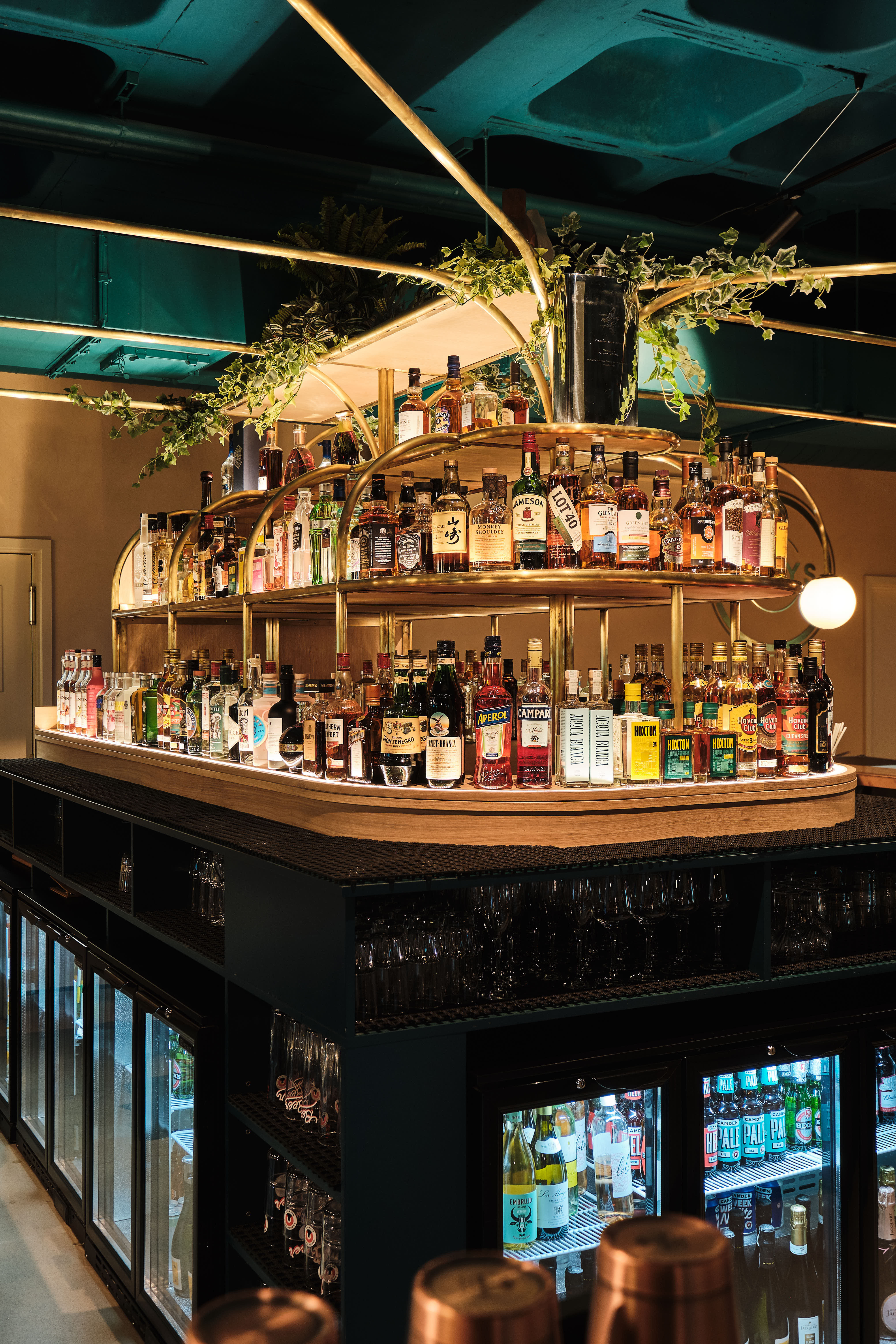 Lower Ground Floor 5