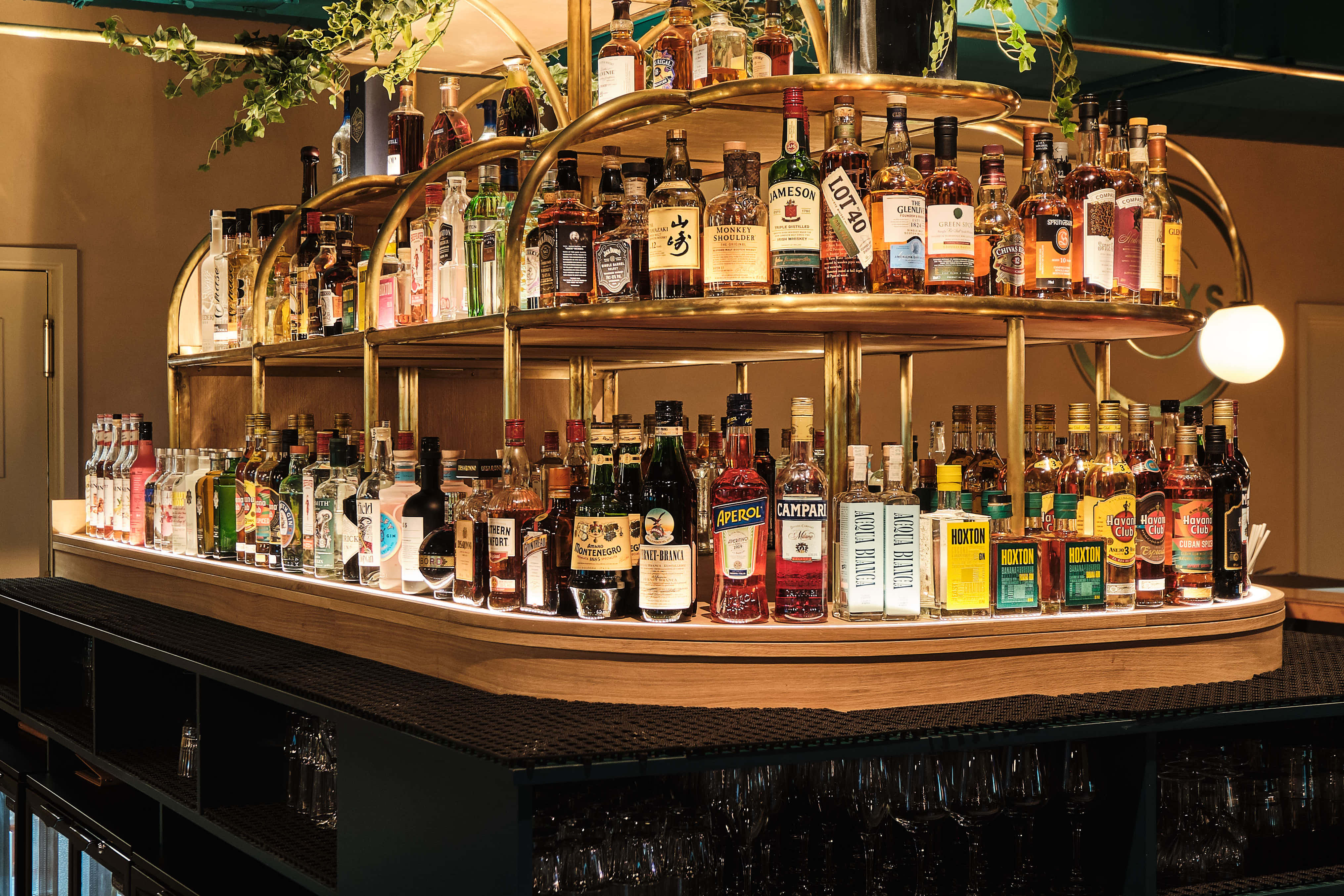 Lower Ground Floor 5