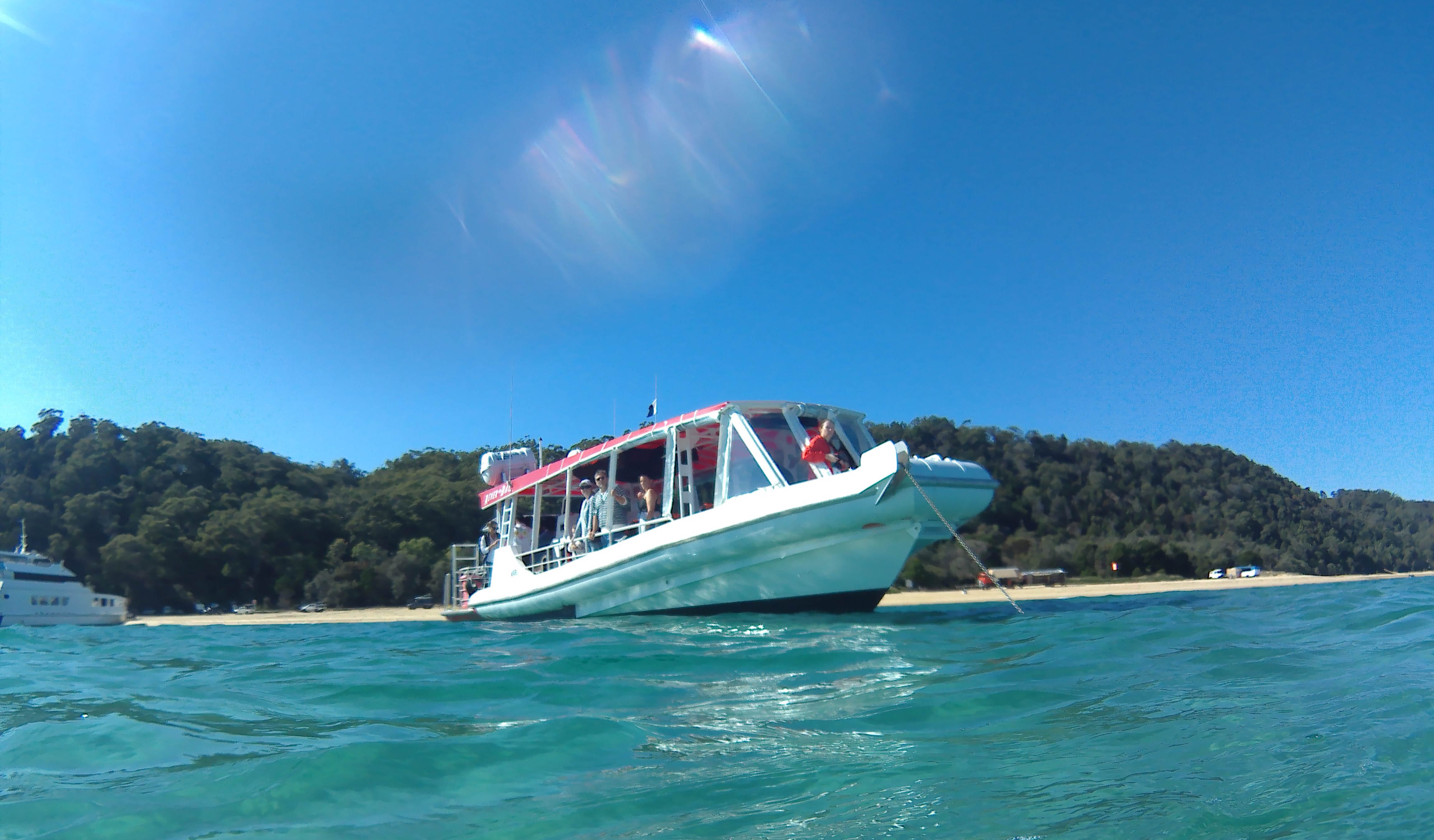 Bottlenose Fast Boat 1