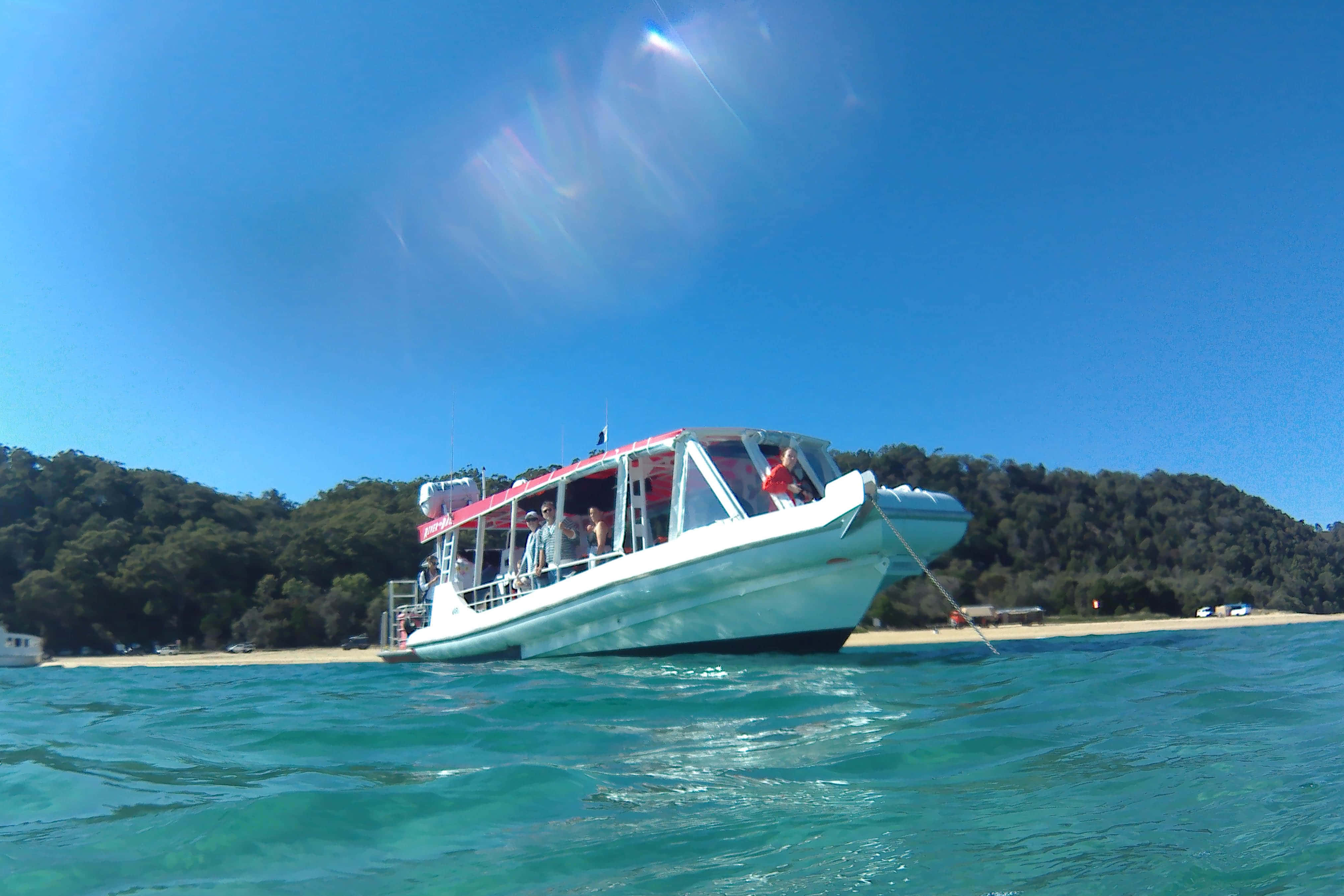 Bottlenose Fast Boat 1