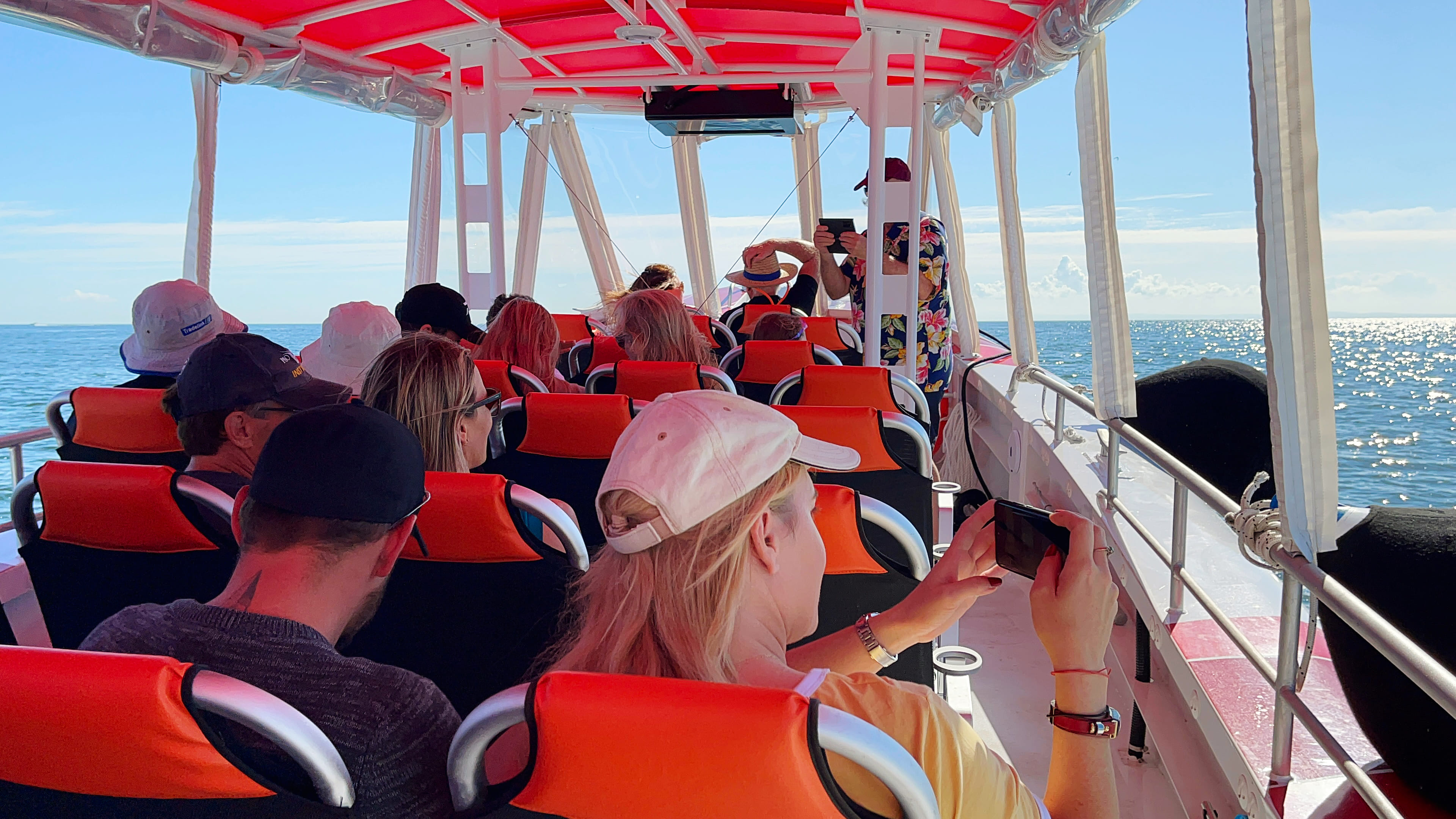 Bottlenose Fast Boat 2