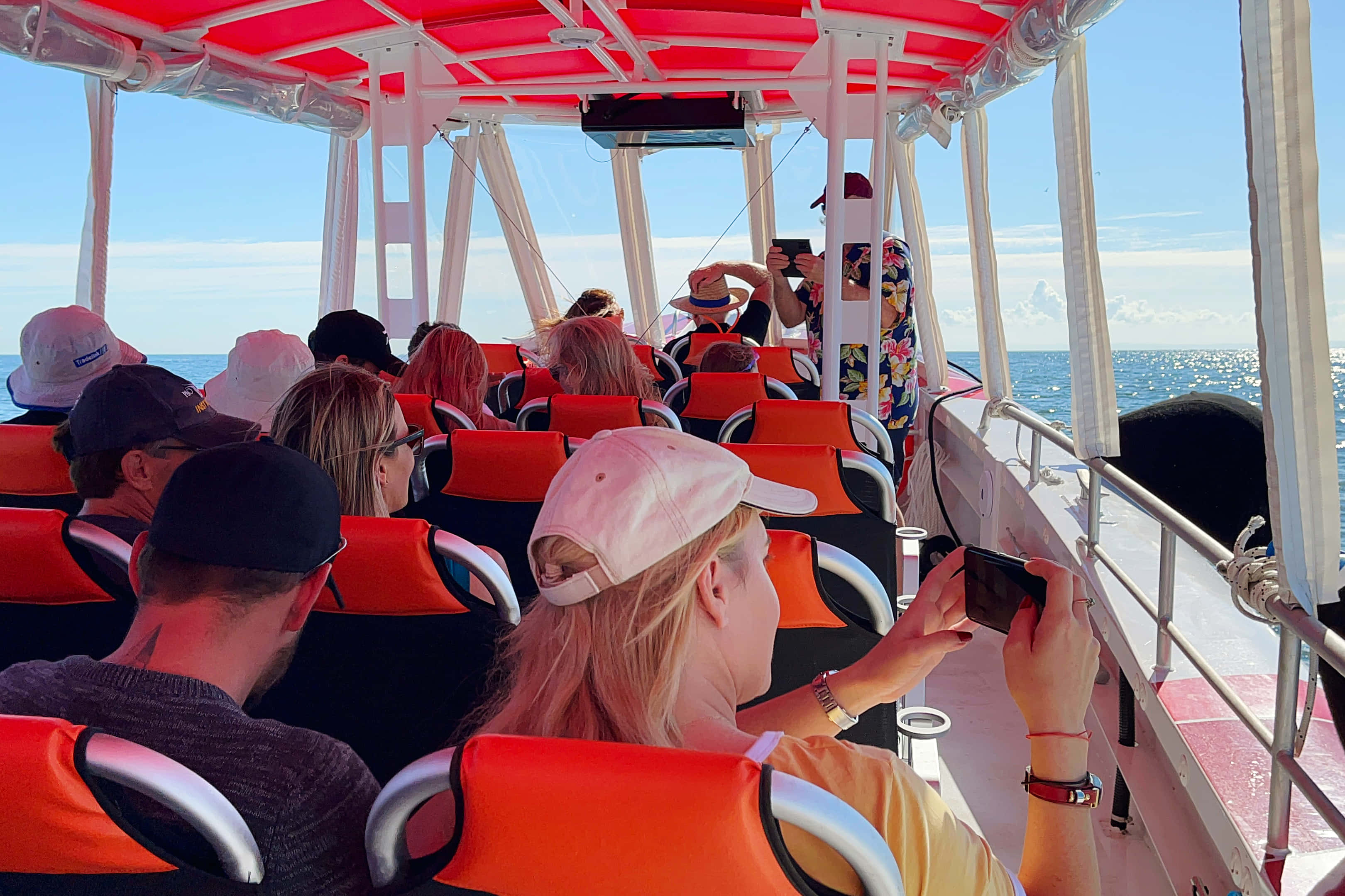 Bottlenose Fast Boat 2