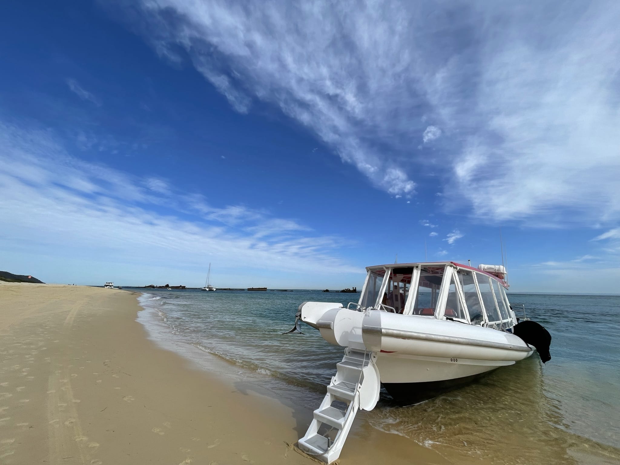 Bottlenose Fast Boat 3