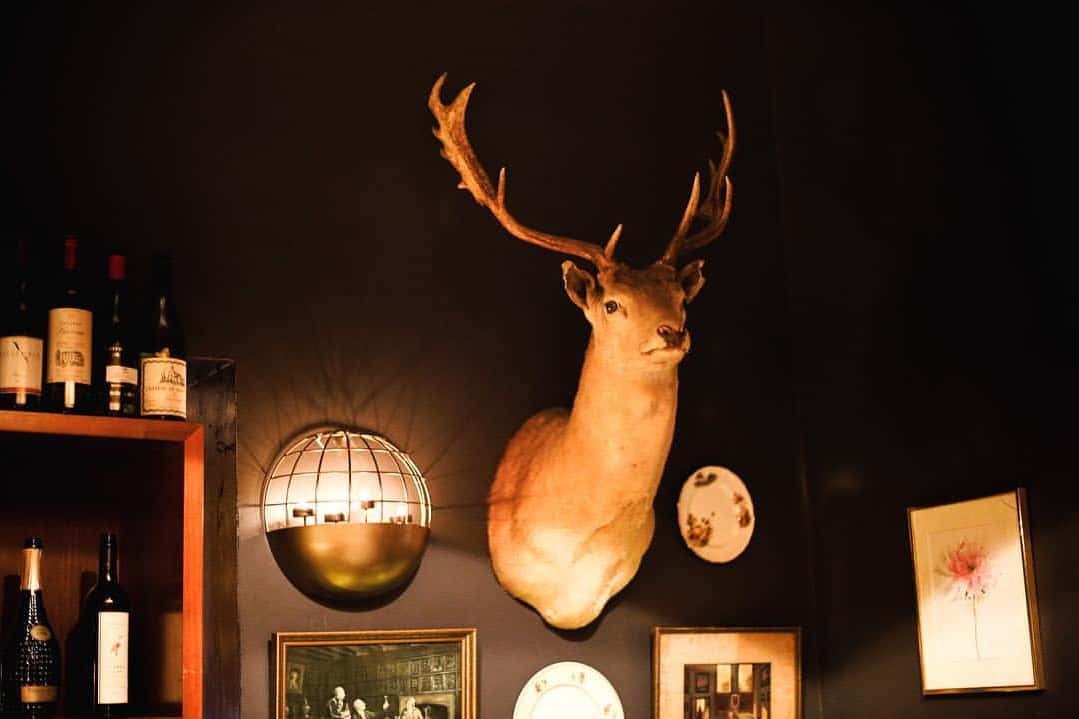 Deer Room 3