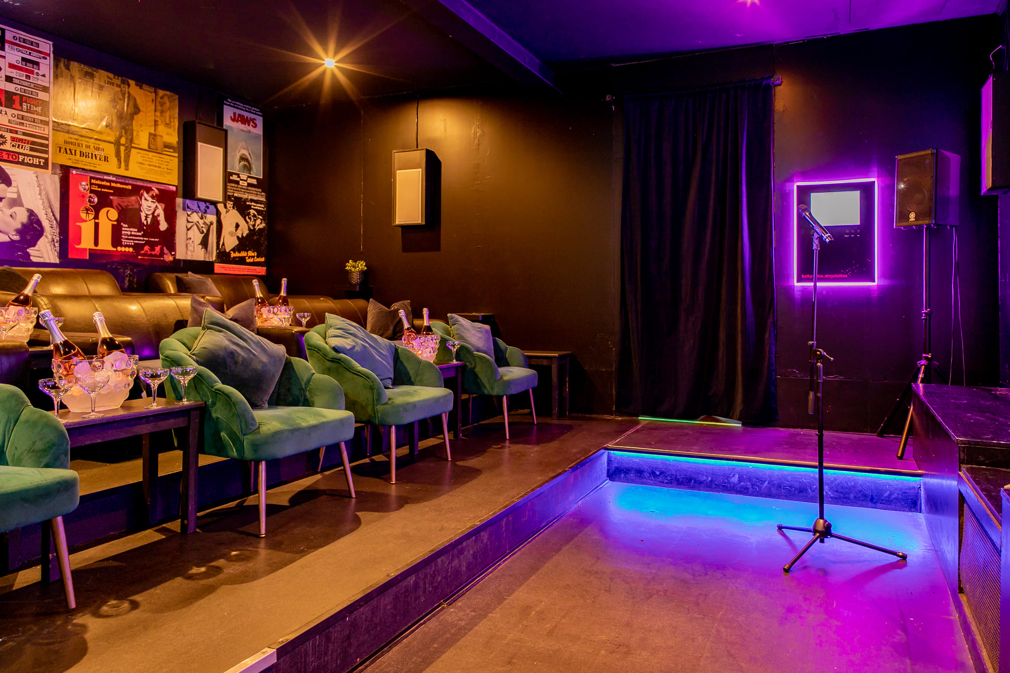 The Cinema & Karaoke Room  3