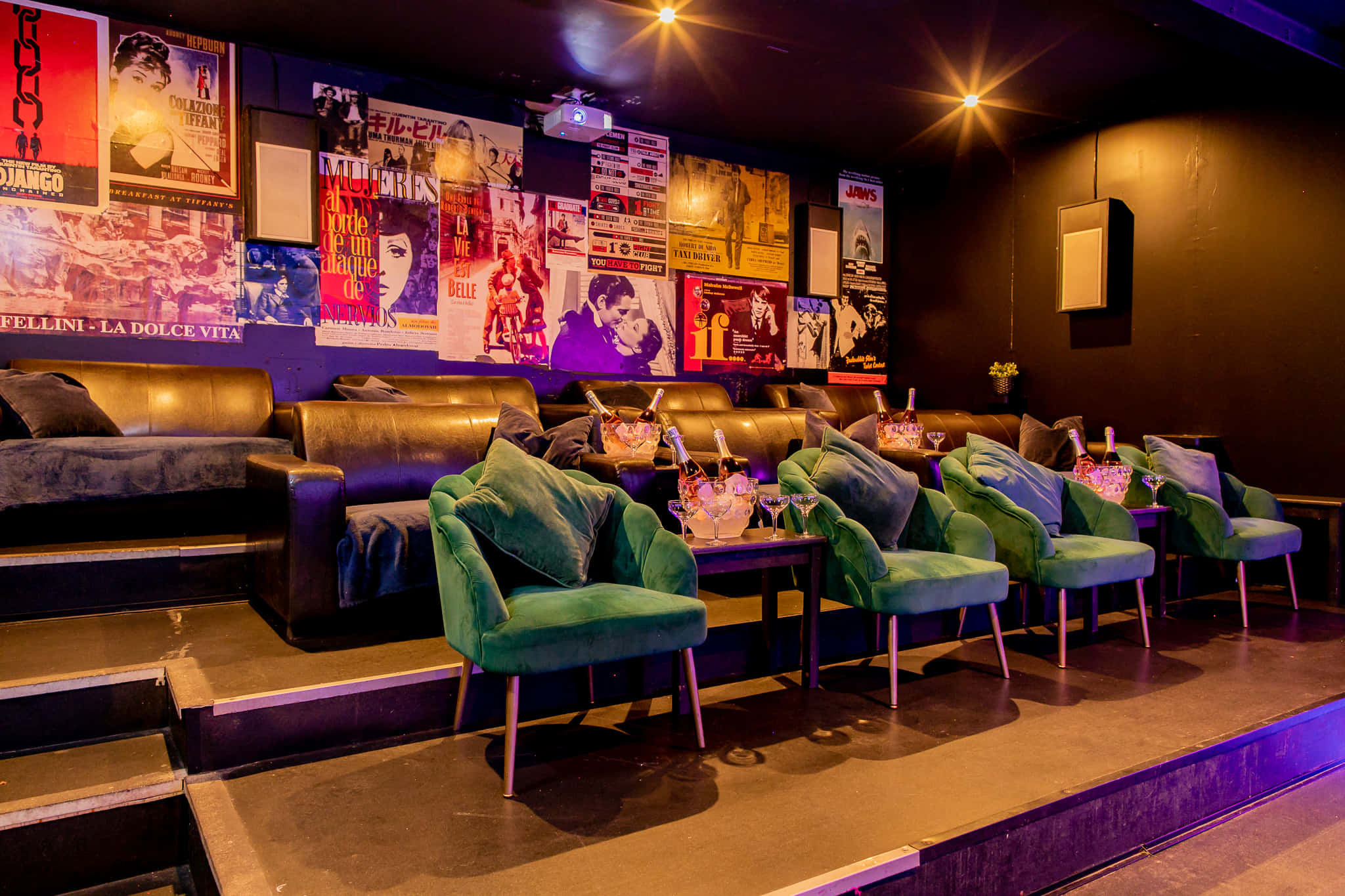 The Cinema & Karaoke Room 1