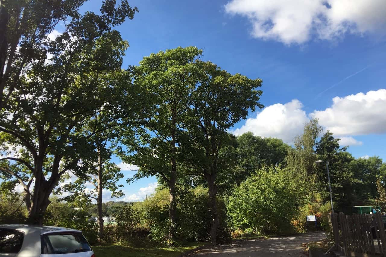 Large Meeting Room 1 7