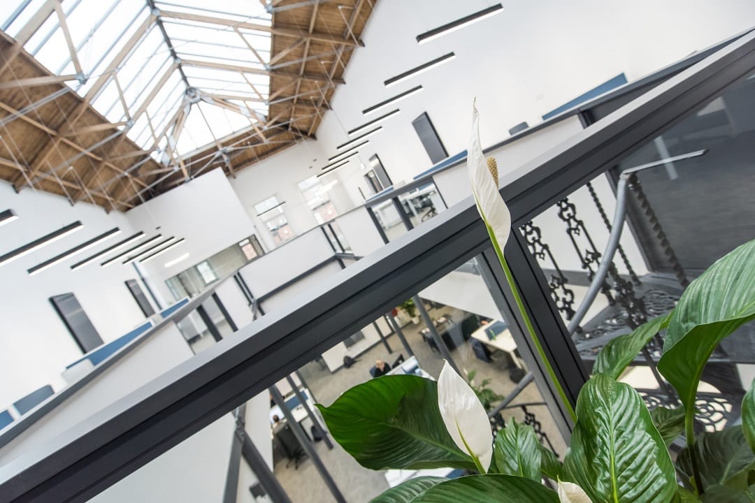 The Racquets Court 4