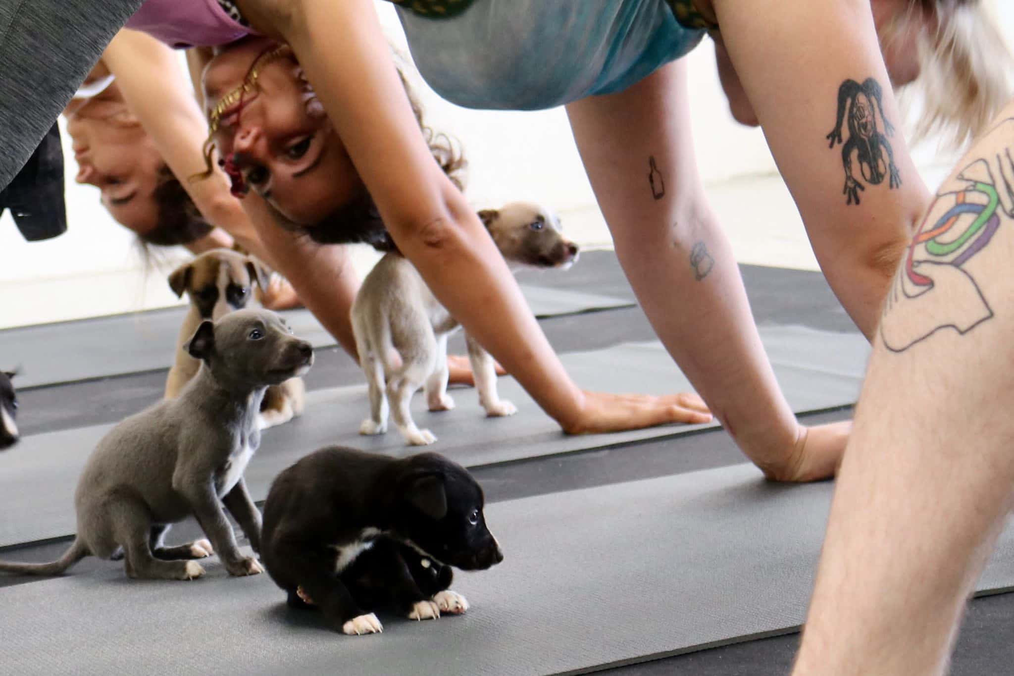 Jump Studios Bristol 5