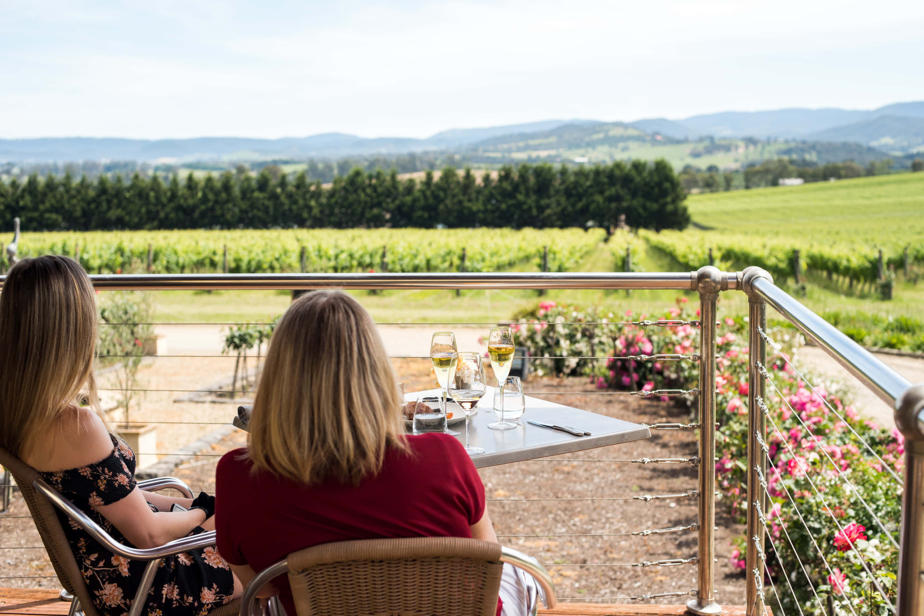 Tokar Estate Winery 4