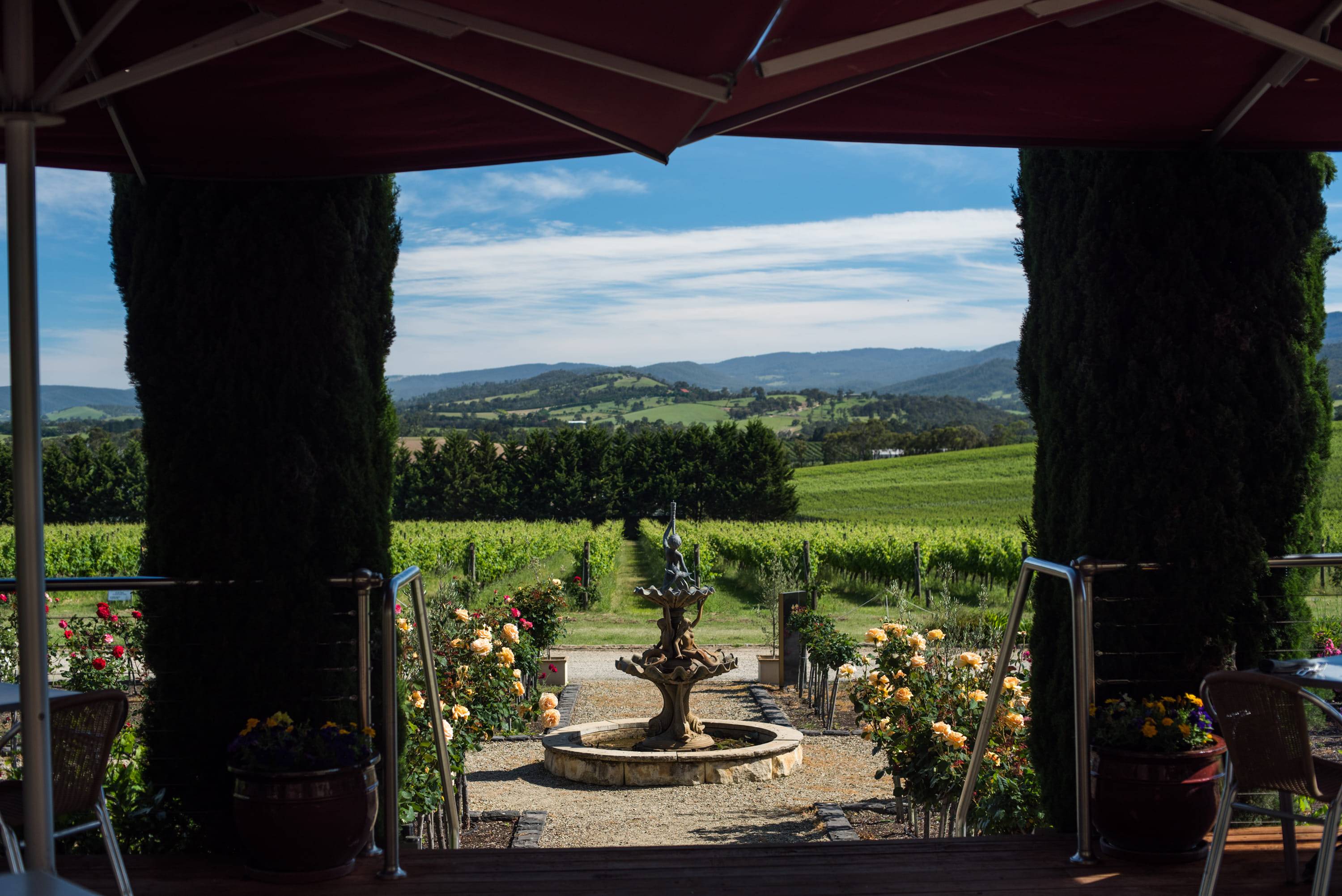 Tokar Estate Winery 1