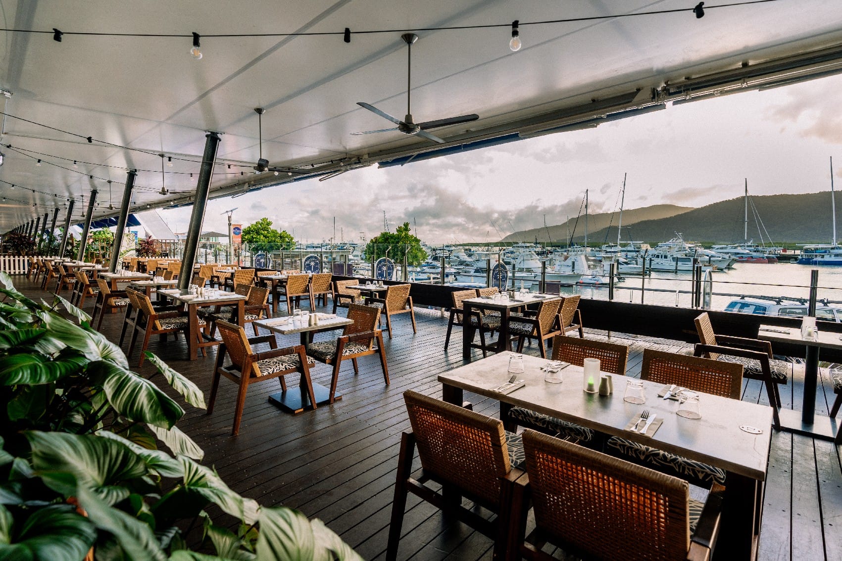 The Backyard, Bar & Garden 5