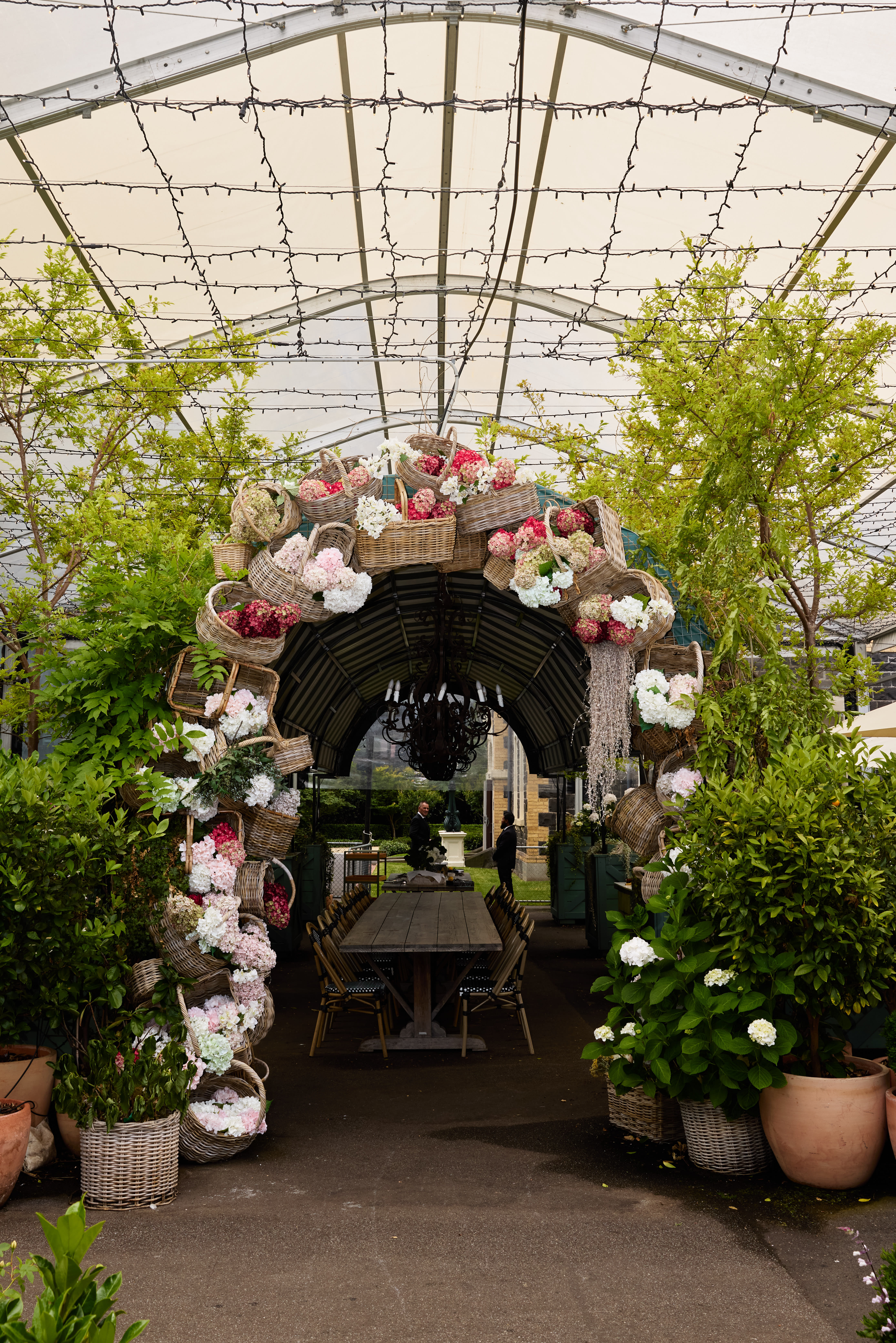 Rosé Garden 1