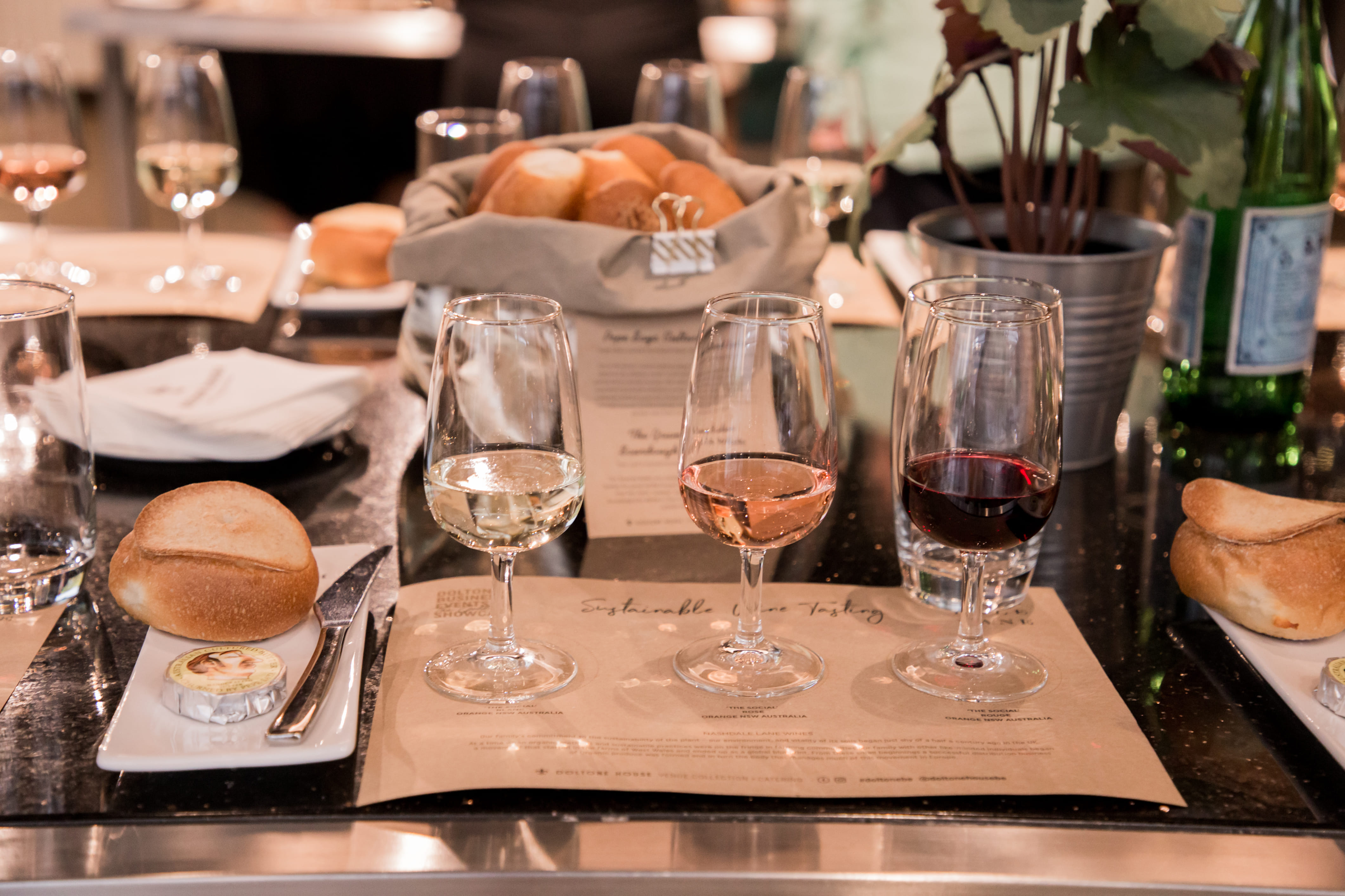 Signorelli Gastronomia 3