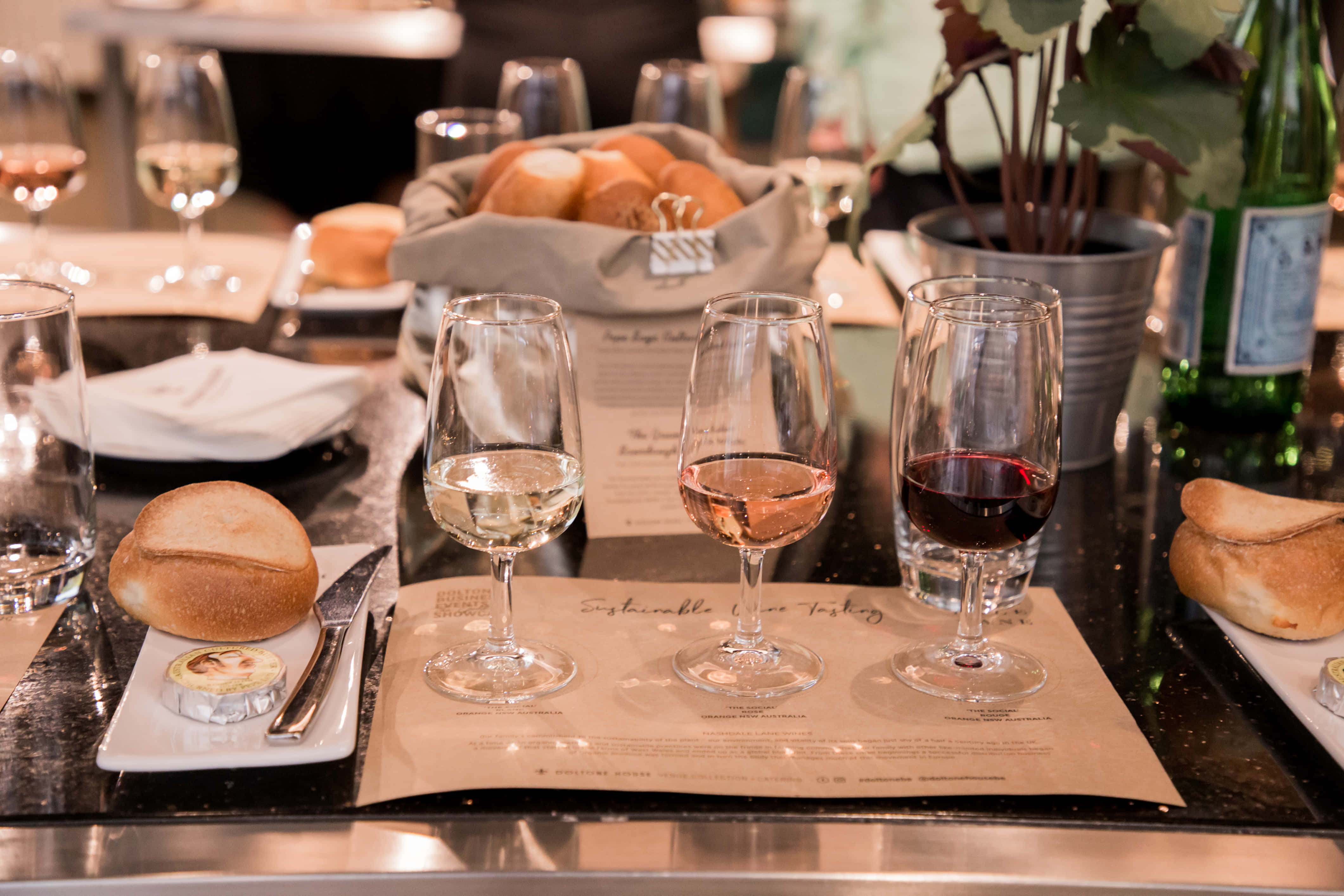 Signorelli Gastronomia 3