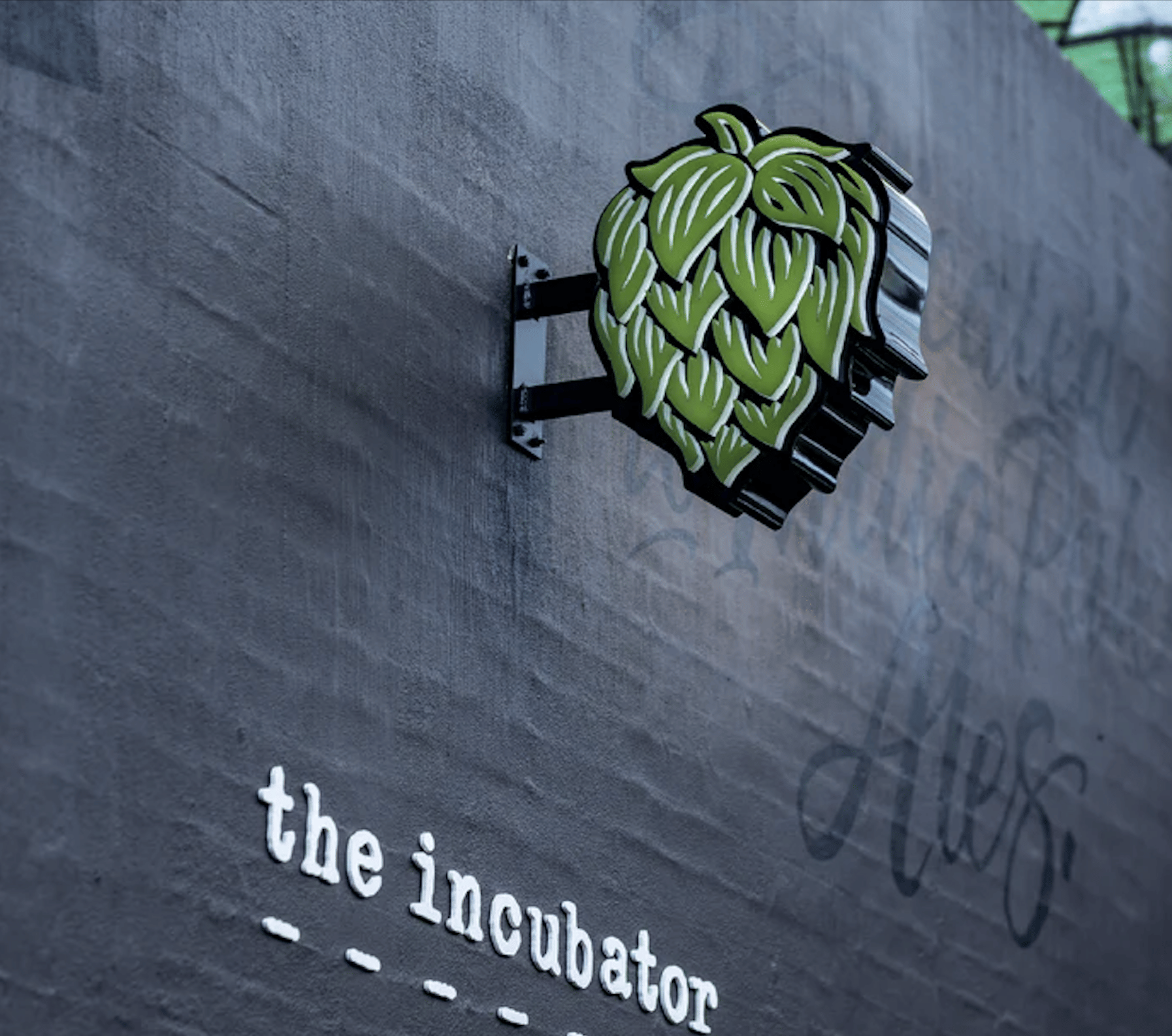 The Incubator 17