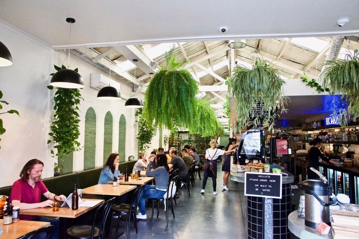 Holla Coffee Roaster 3