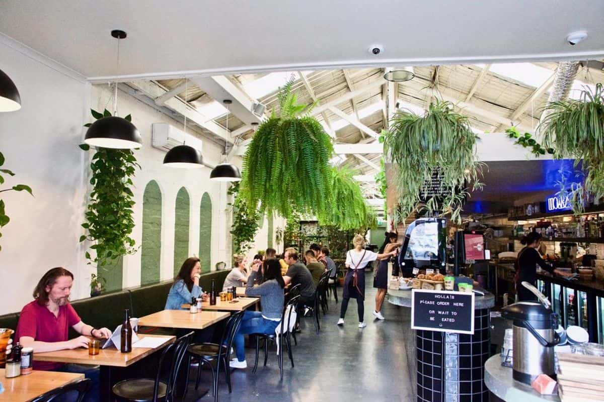 Holla Coffee Roaster 3