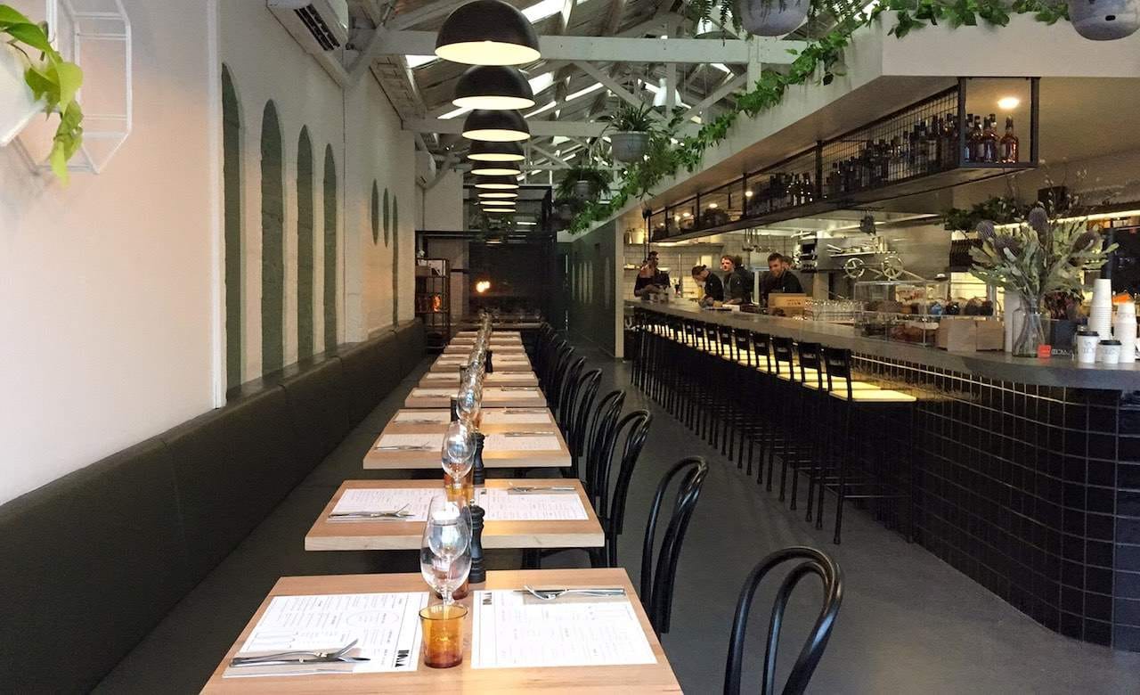 Holla Coffee Roaster 2